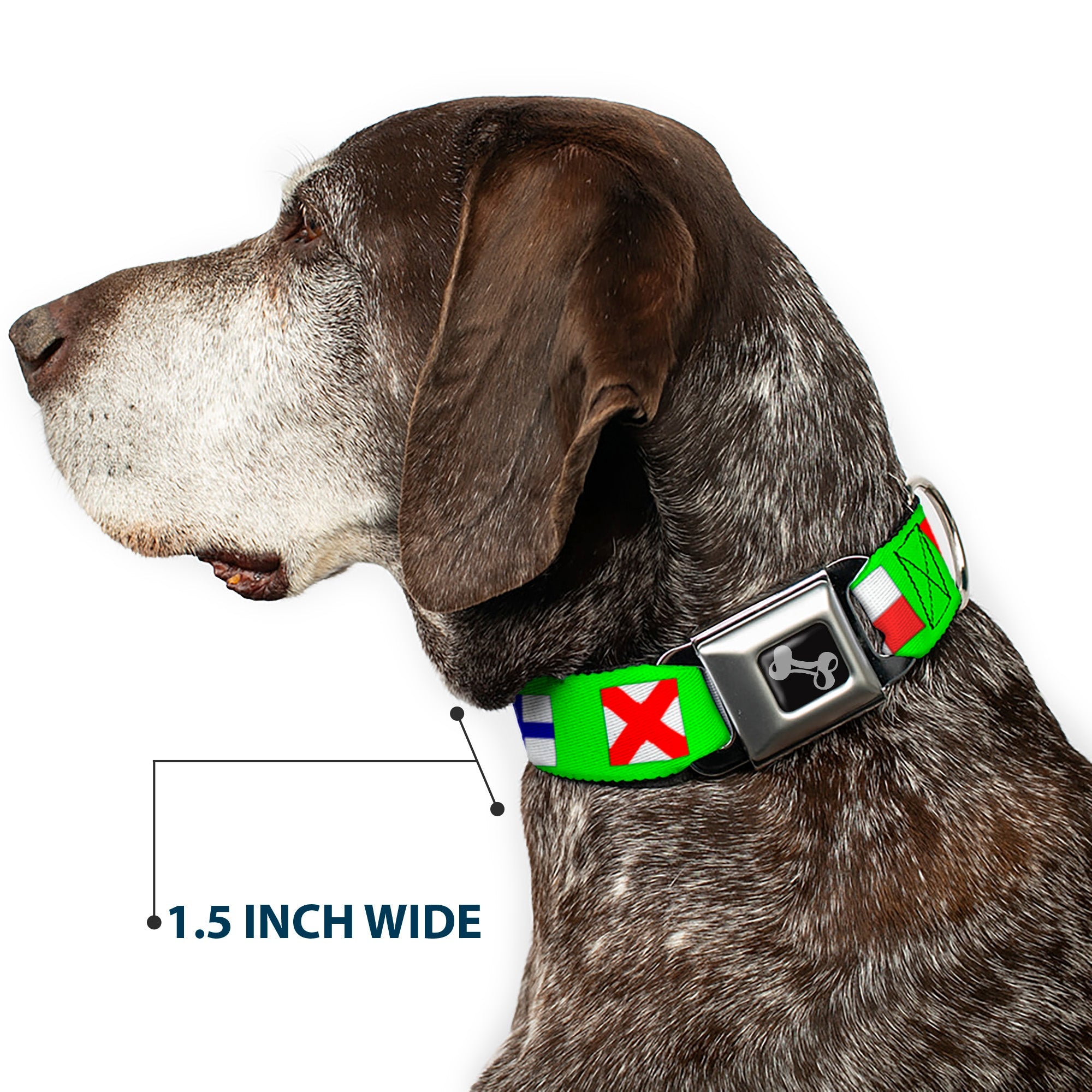 Dog Bone Seatbelt Buckle Collar - Nautical Flags Green/Multi Color