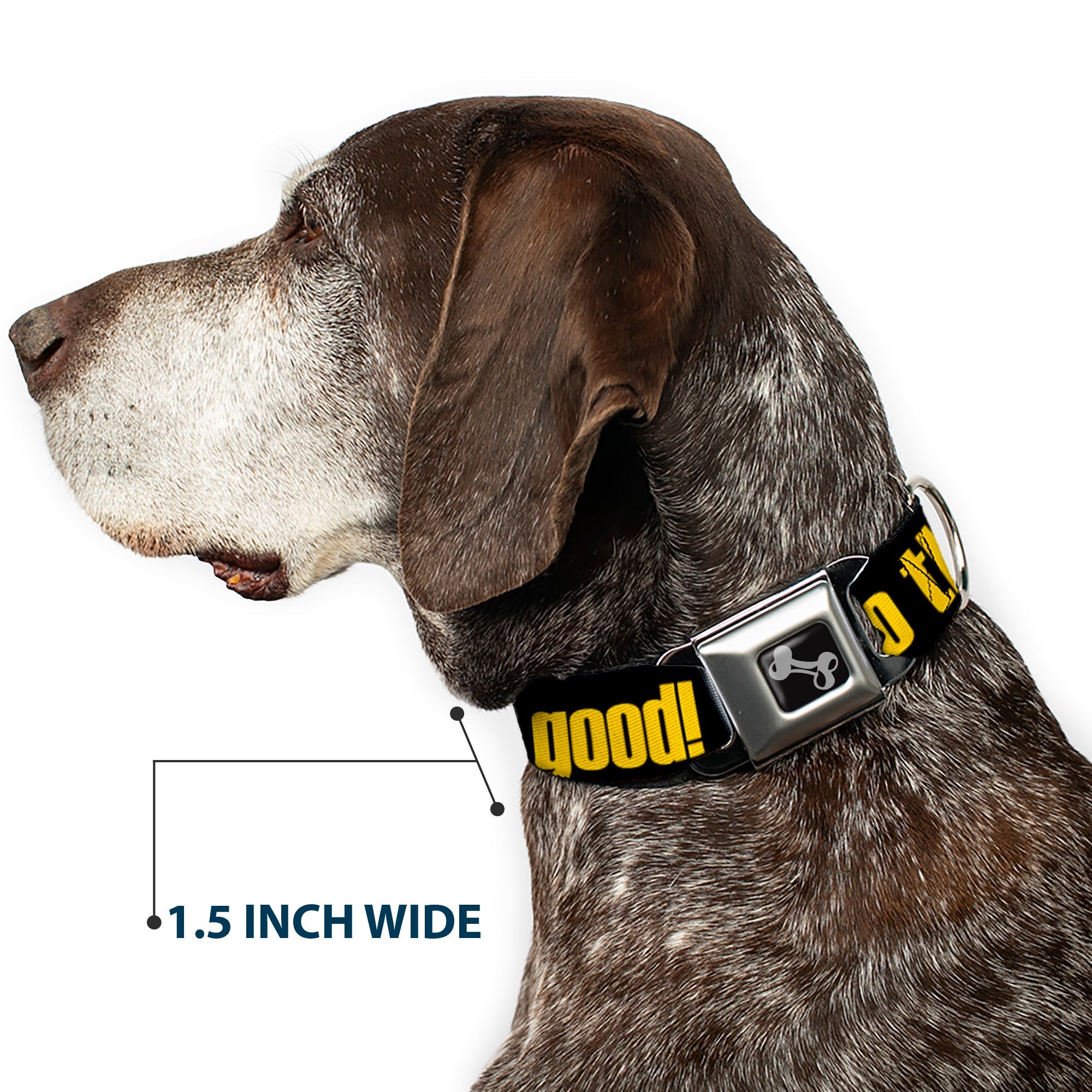 Dog Bone Seatbelt Buckle Collar - NO THANKS, I'M GOOD! Black/Gold