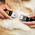 Load image into Gallery viewer, Dog Bone Seatbelt Buckle Collar - NO THANKS, I'M GOOD! Black/Gold
