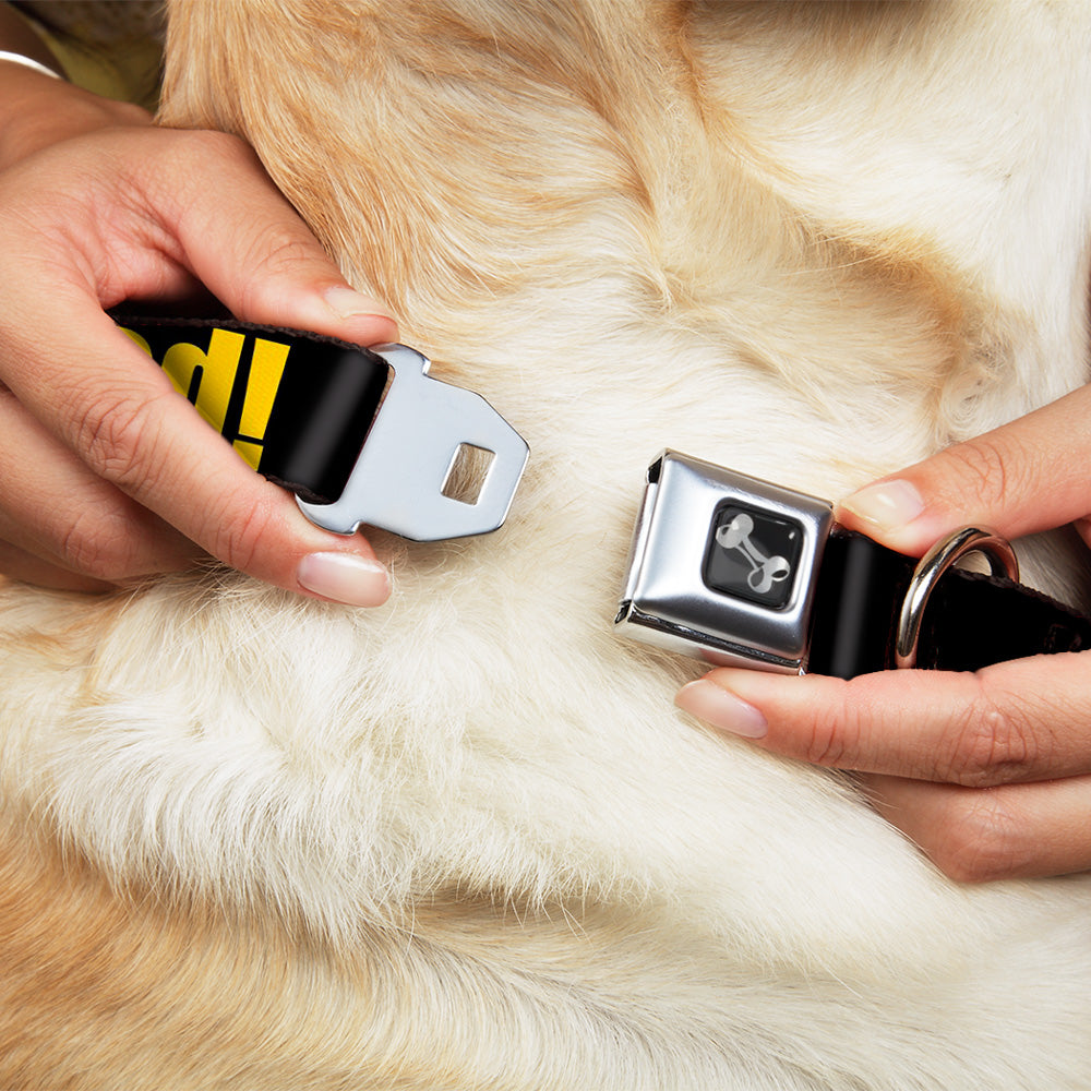 Dog Bone Seatbelt Buckle Collar - NO THANKS, I'M GOOD! Black/Gold