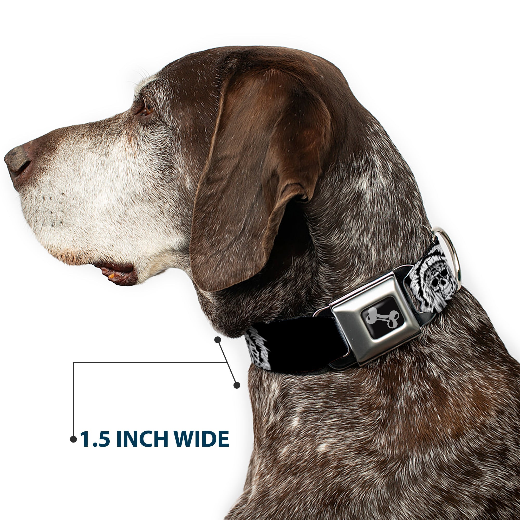 Dog Bone Seatbelt Buckle Collar - Native American Skull Black/White