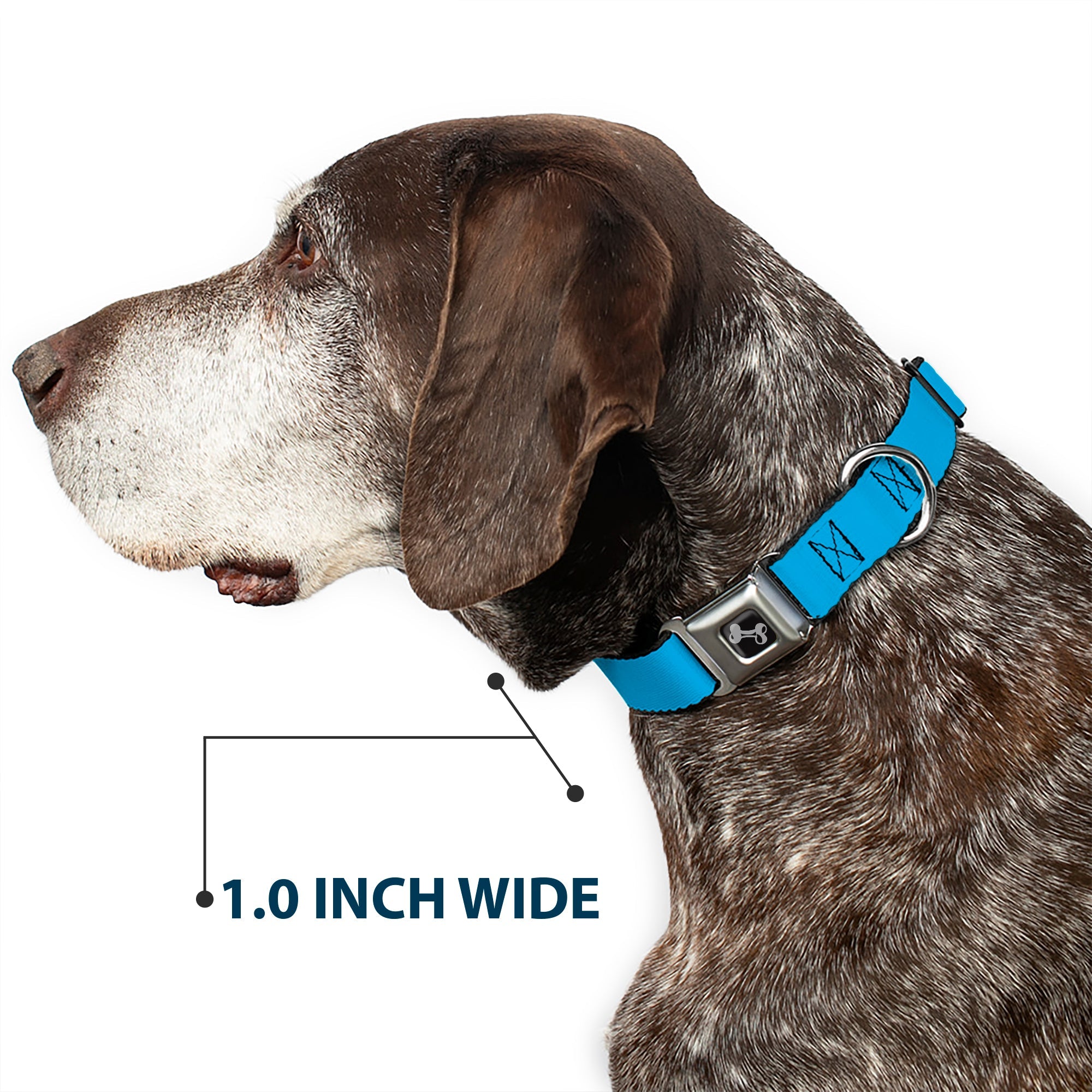 Dog Bone Seatbelt Buckle Collar - Neon Blue