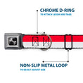 Load image into Gallery viewer, Dog Bone Seatbelt Buckle Collar - North Carolina Flag Stripe Red/White
