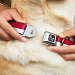 Dog Bone Seatbelt Buckle Collar - North Carolina Flag Stripe Red/White
