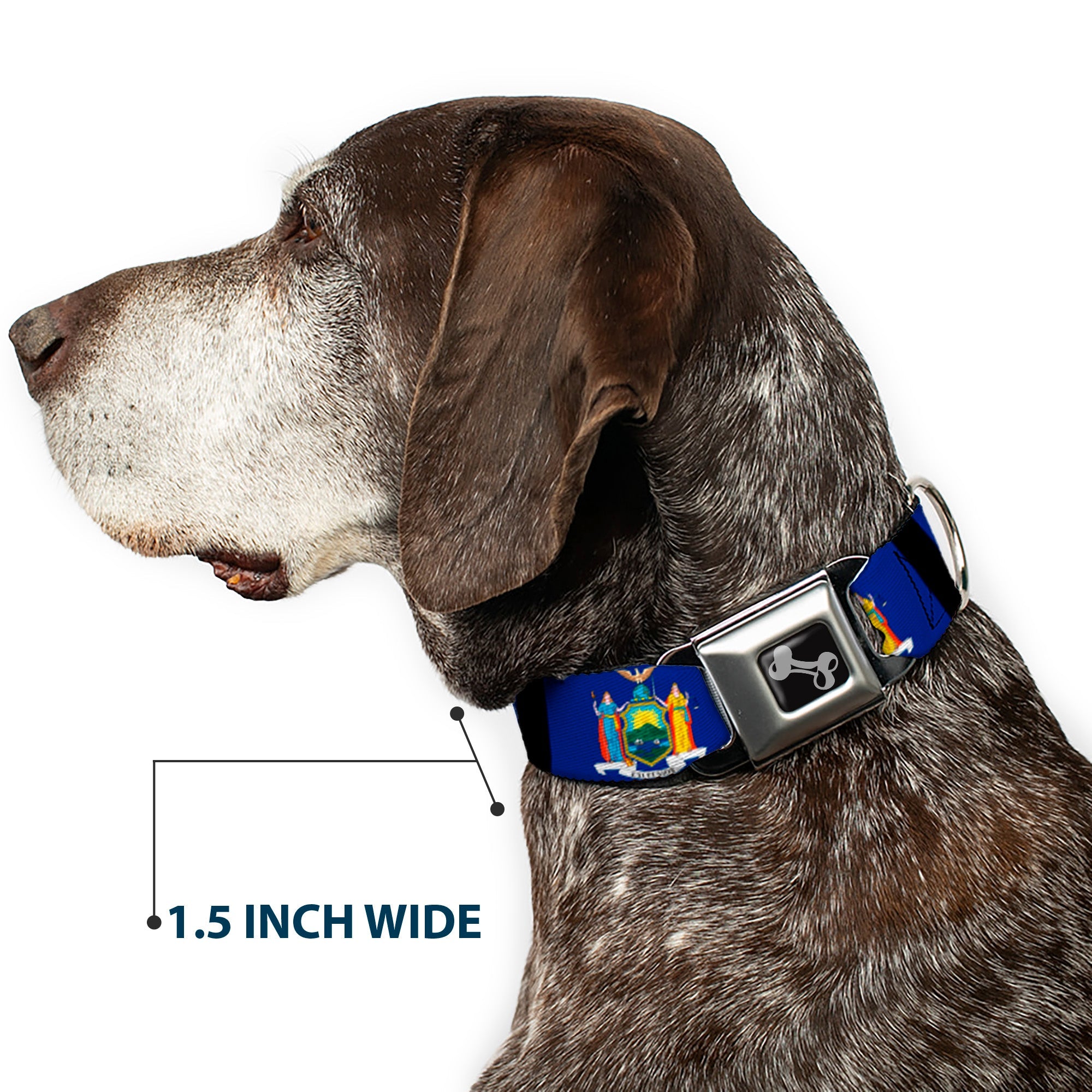 Dog Bone Seatbelt Buckle Collar - New York Flags/Black