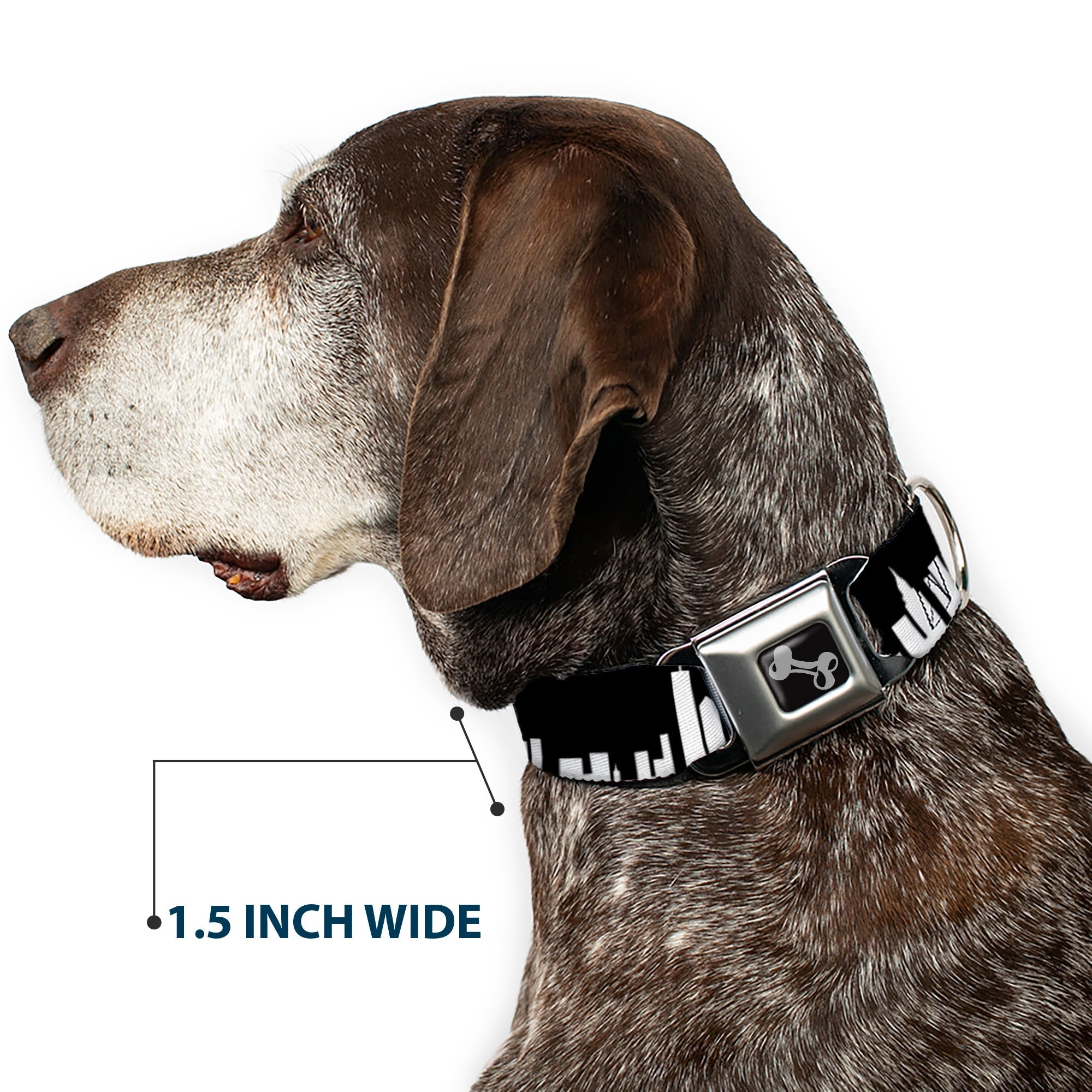 Dog Bone Seatbelt Buckle Collar - New York Solid Skyline Black/White