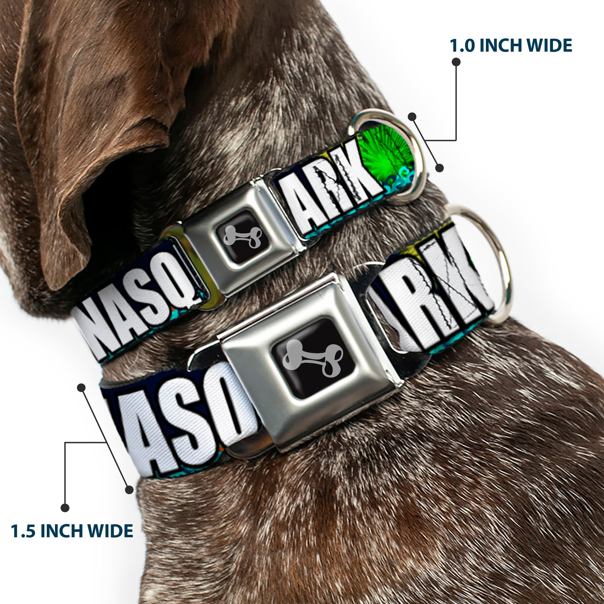 Dog Bone Seatbelt Buckle Collar - New Jersey Shore Towns Black/Multi Color/White