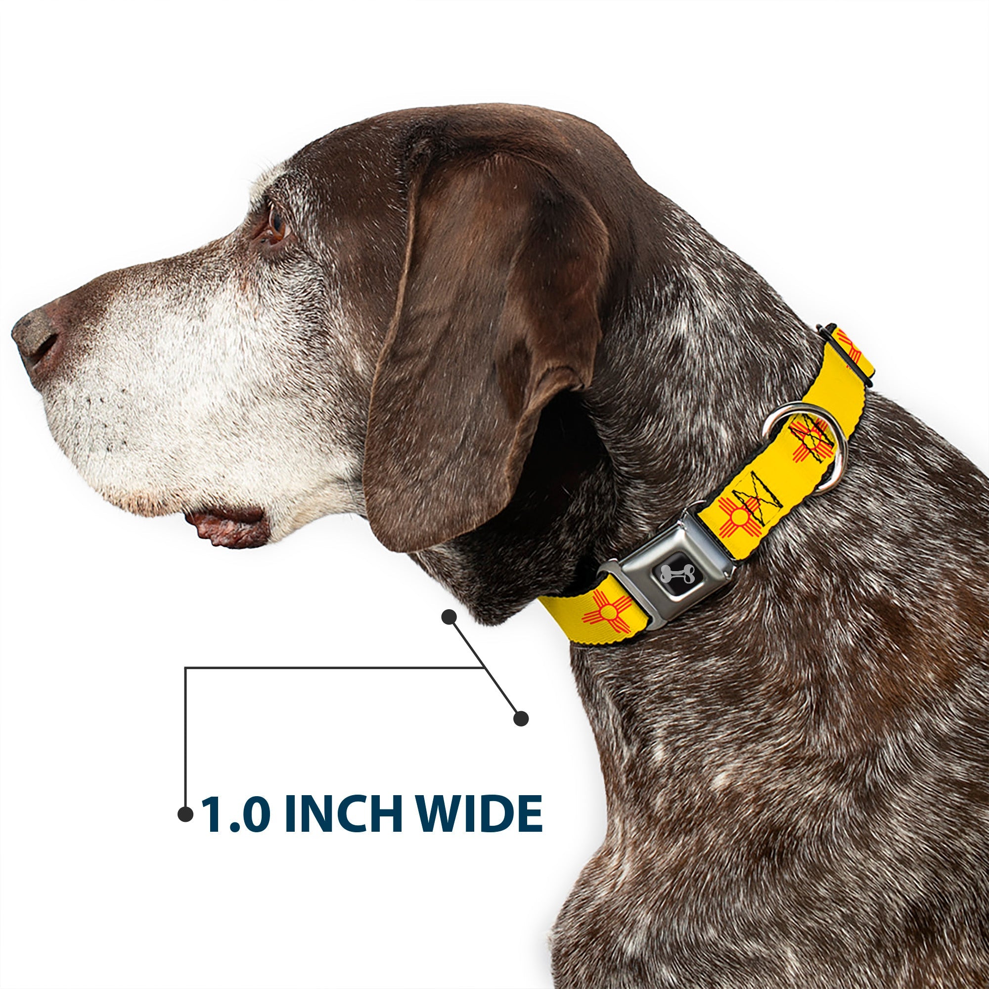 Dog Bone Black/Silver Seatbelt Buckle Collar - New Mexico Flag Yellow/Red