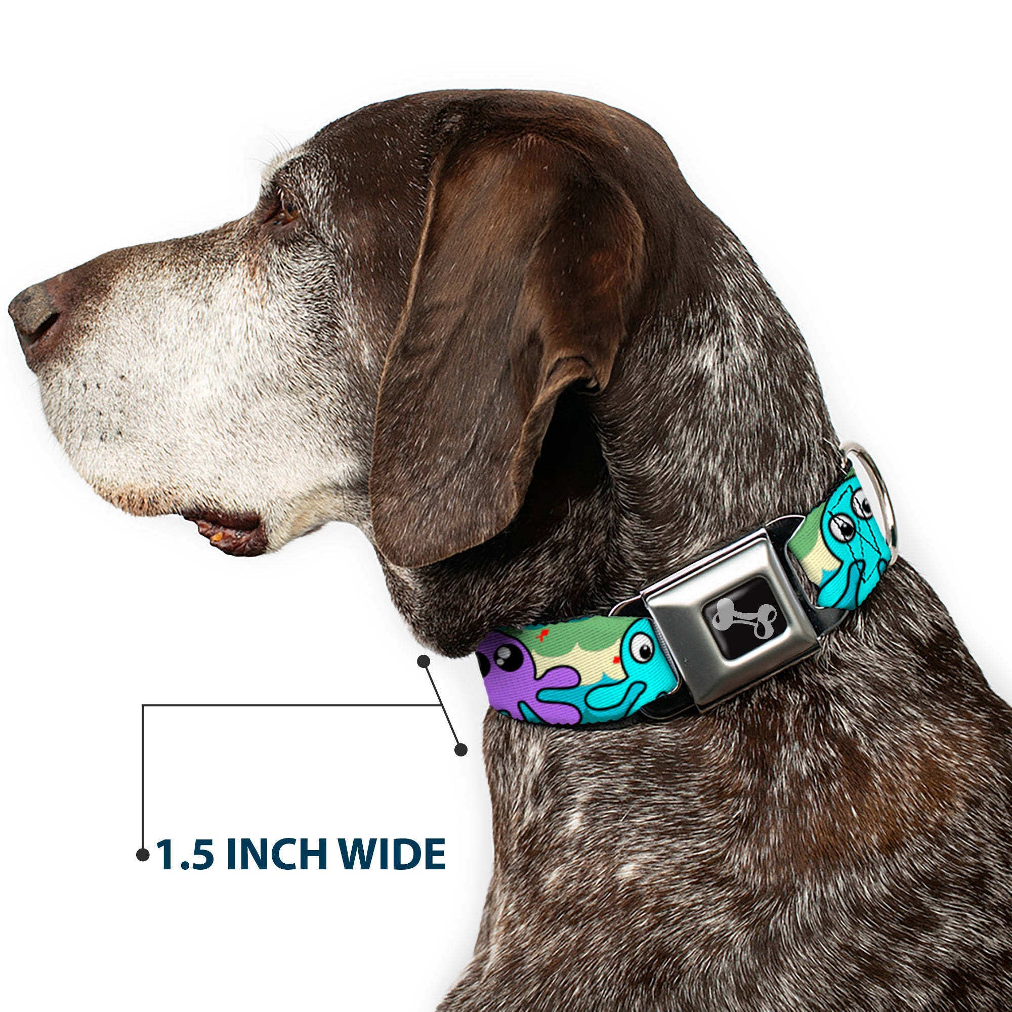 Dog Bone Seatbelt Buckle Collar - Octopus Cartoon
