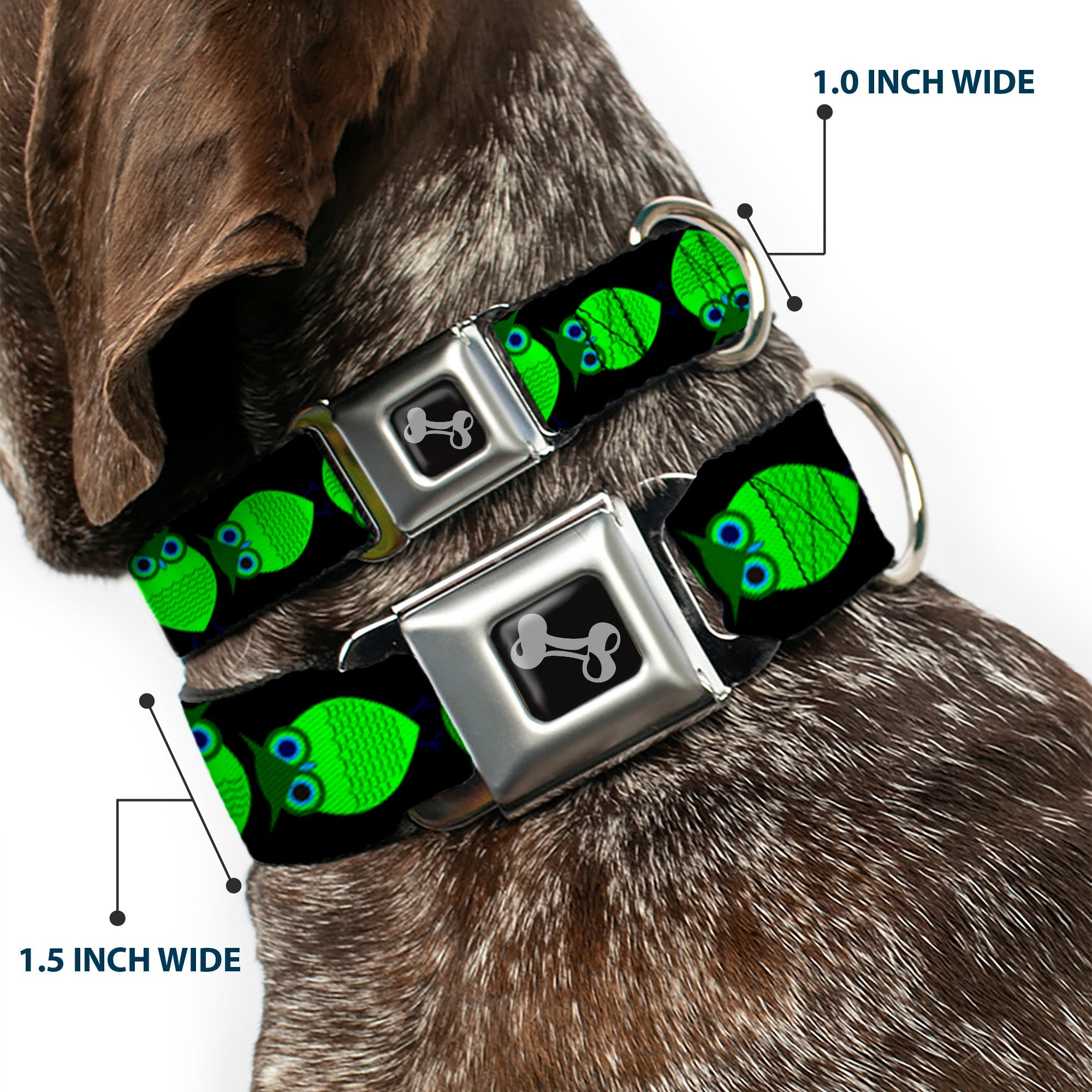 Dog Bone Seatbelt Buckle Collar - Owls Spin Black/Green