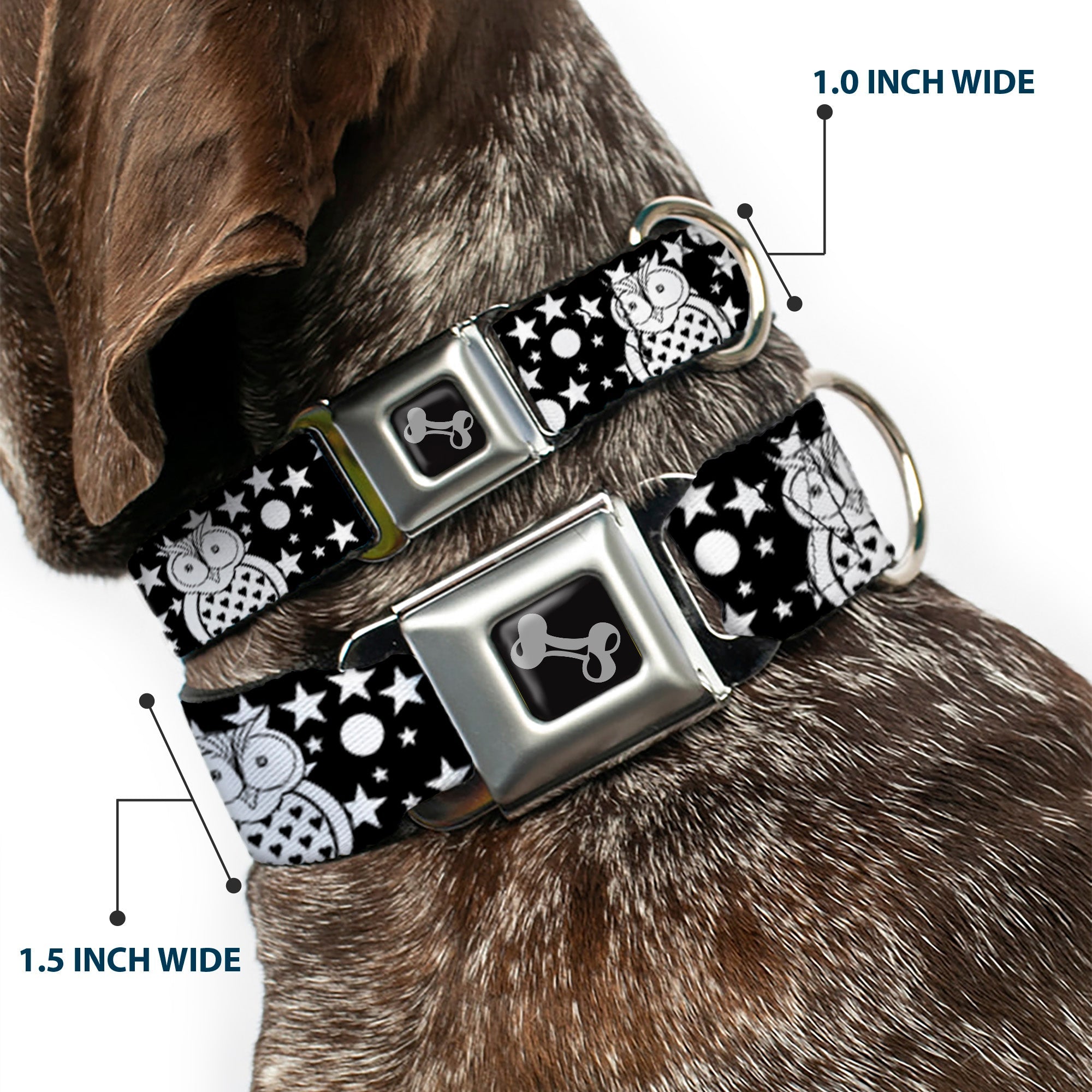 Dog Bone Black/Silver Seatbelt Buckle Collar - Owls Black/White2