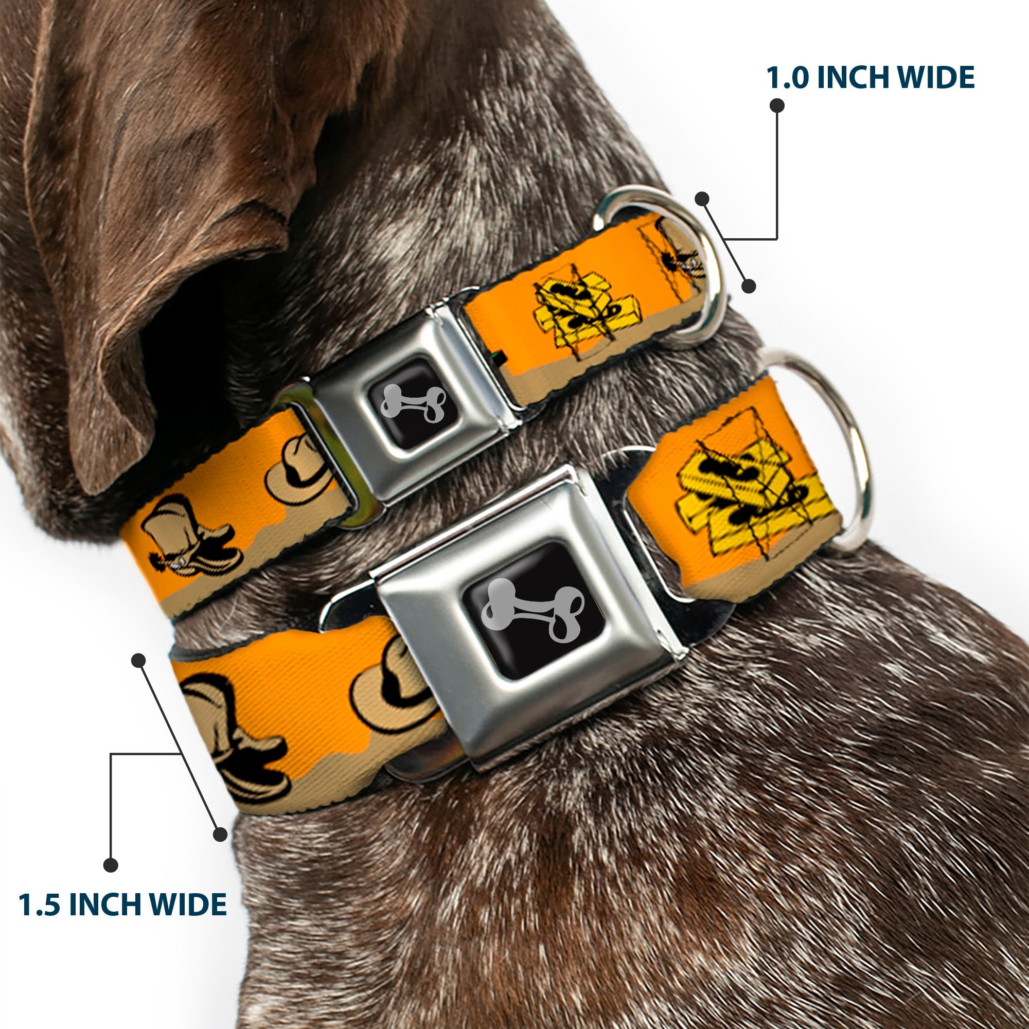 Dog Bone Seatbelt Buckle Collar - Old Western Multi Color