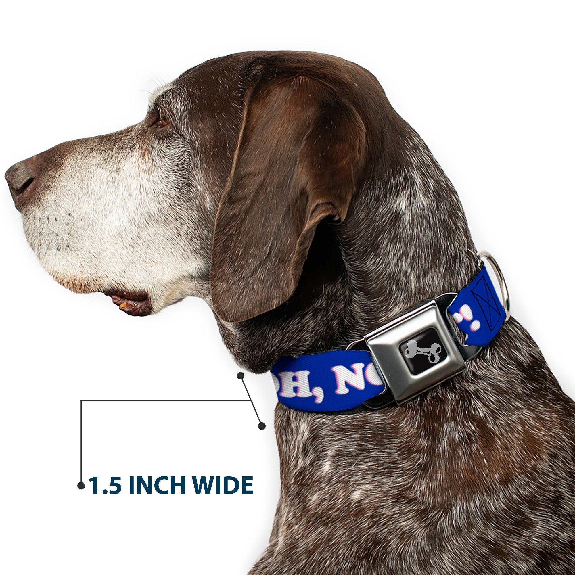 Dog Bone Seatbelt Buckle Collar - OH, NO YOU DIDN'T!!! Navy/Purple/White