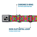 Dog Bone Seatbelt Buckle Collar - Ogee Lime/Blue/Fuchsia/Orange