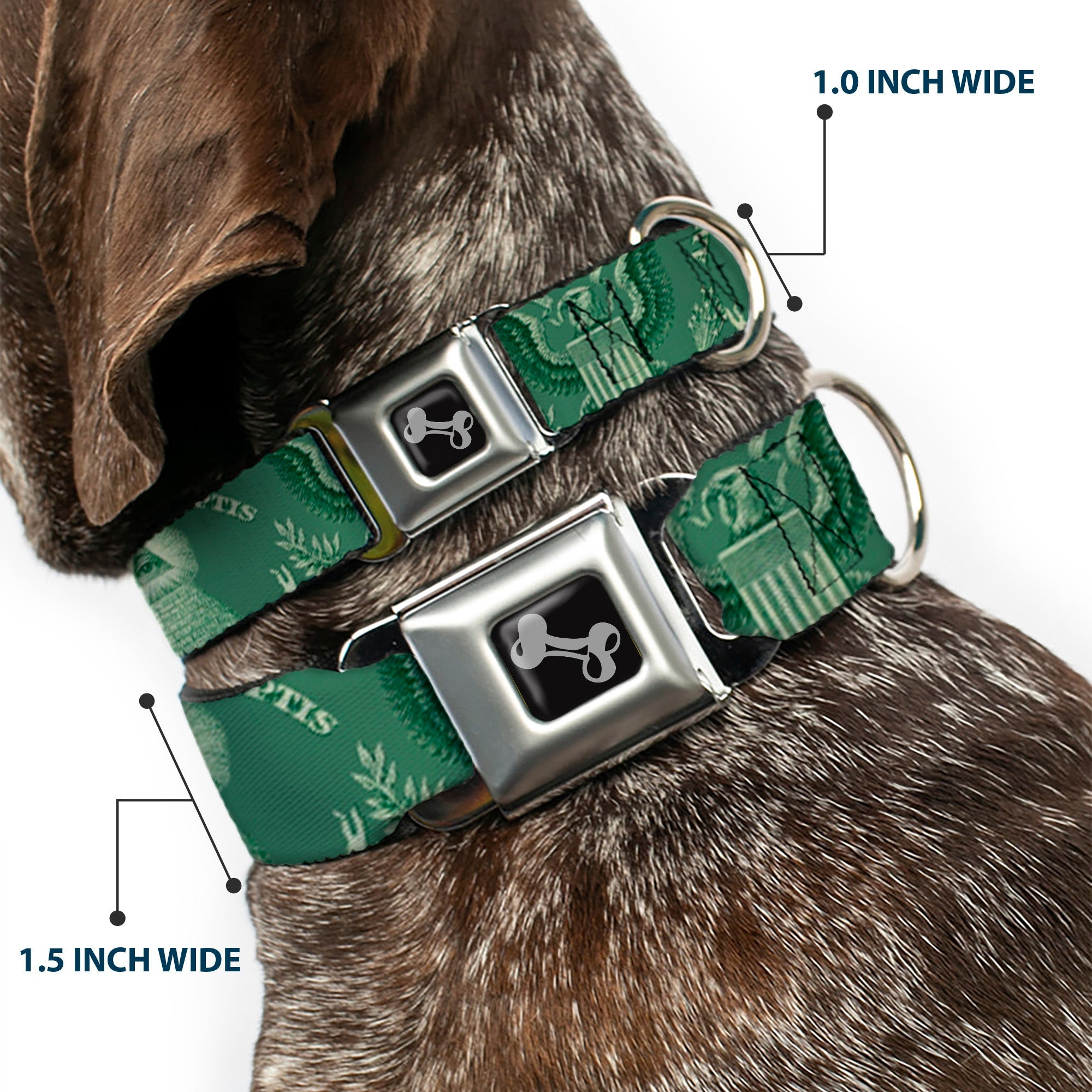 Dog Bone Seatbelt Buckle Collar - One Dollar Bill Pyramid/Bald Eagle