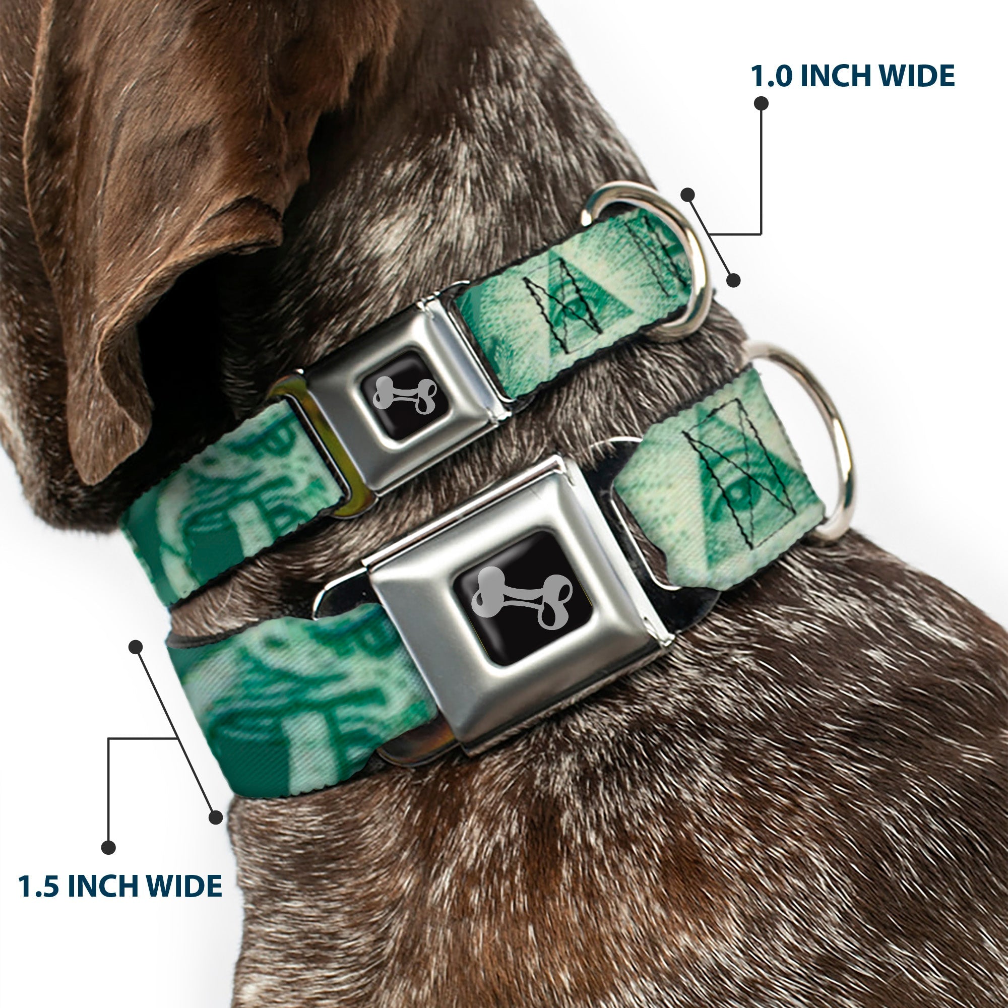 Dog Bone Seatbelt Buckle Collar - One Dollar Bill Eye of Providence/Bald Eagle CLOSE-UP