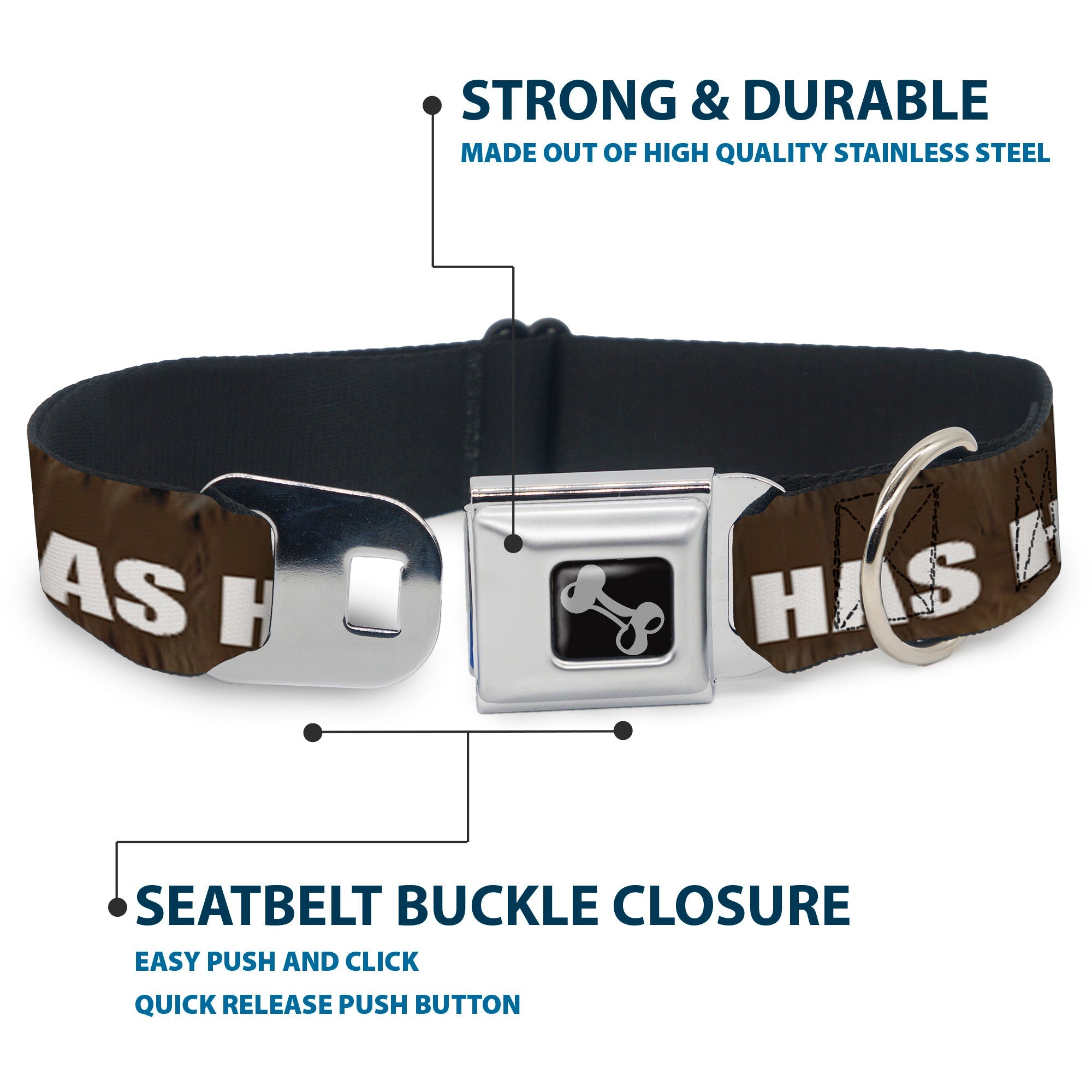 Buckle-Down Seatbelt Buckle Dog Collar - ONE OF US HAS HAIRY LEGS/Fur Tan/White