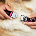 Load image into Gallery viewer, Buckle-Down Seatbelt Buckle Dog Collar - ONE OF US IS A BITCH Crown/Paws Black/Gray/Pink
