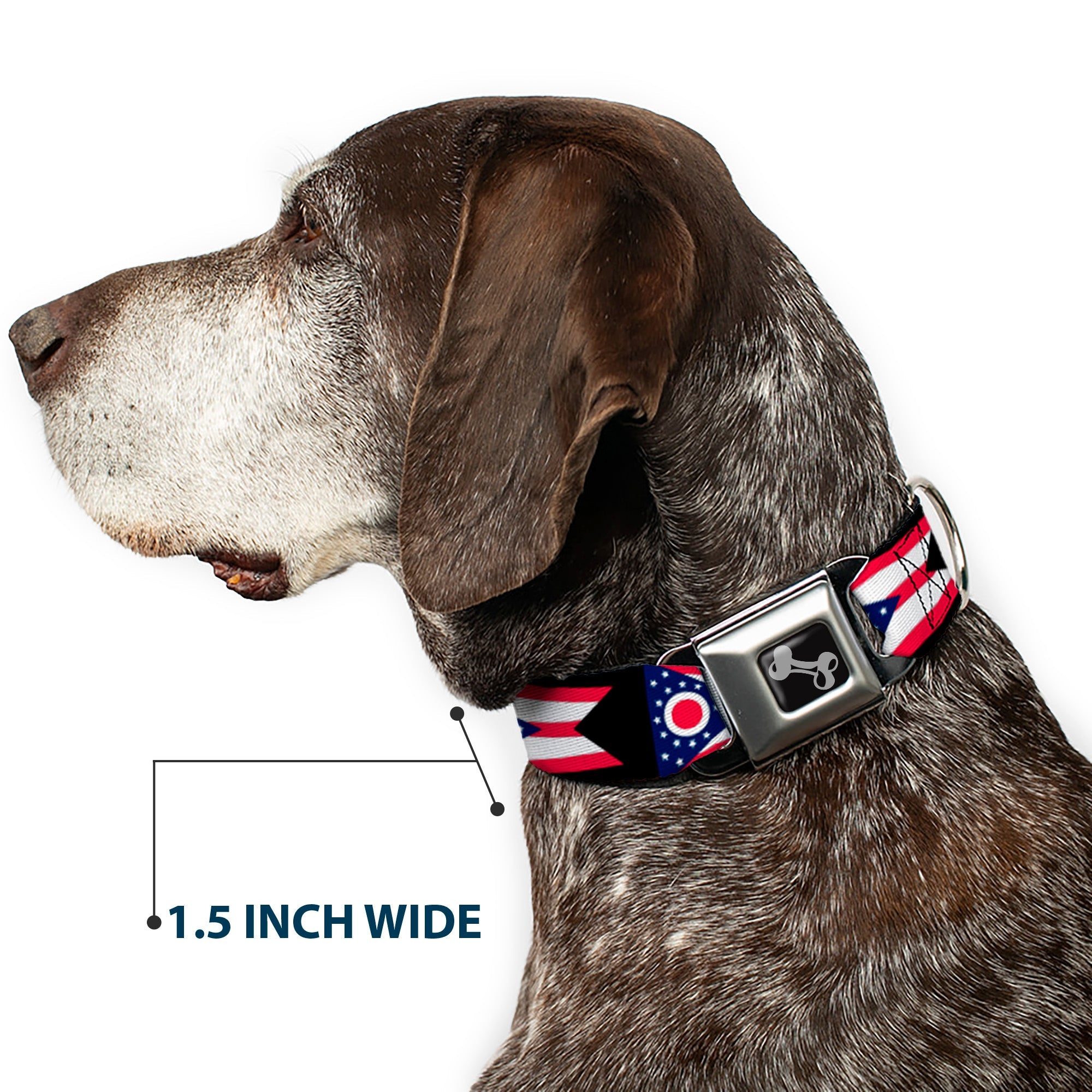 Dog Bone Seatbelt Buckle Collar - Ohio Flag Repeat Black