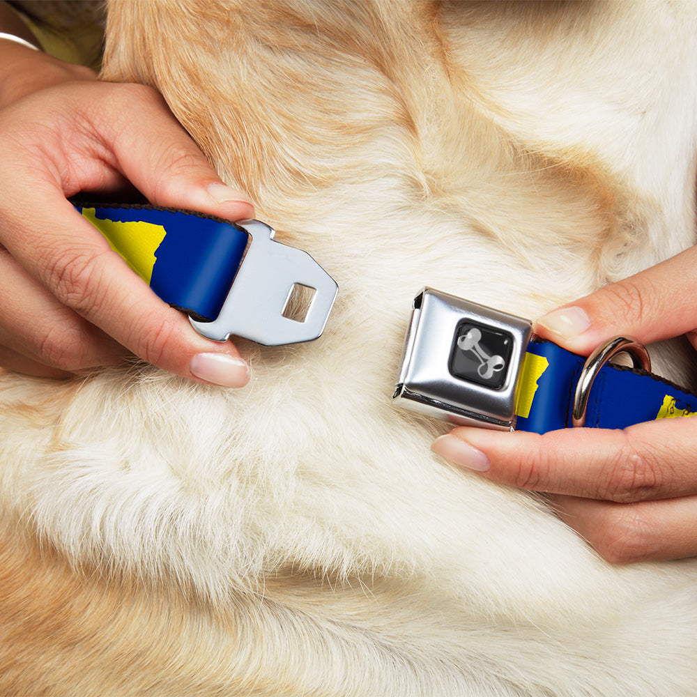 Dog Bone Seatbelt Buckle Collar - Oregon State Silhouette Blue/Yellow