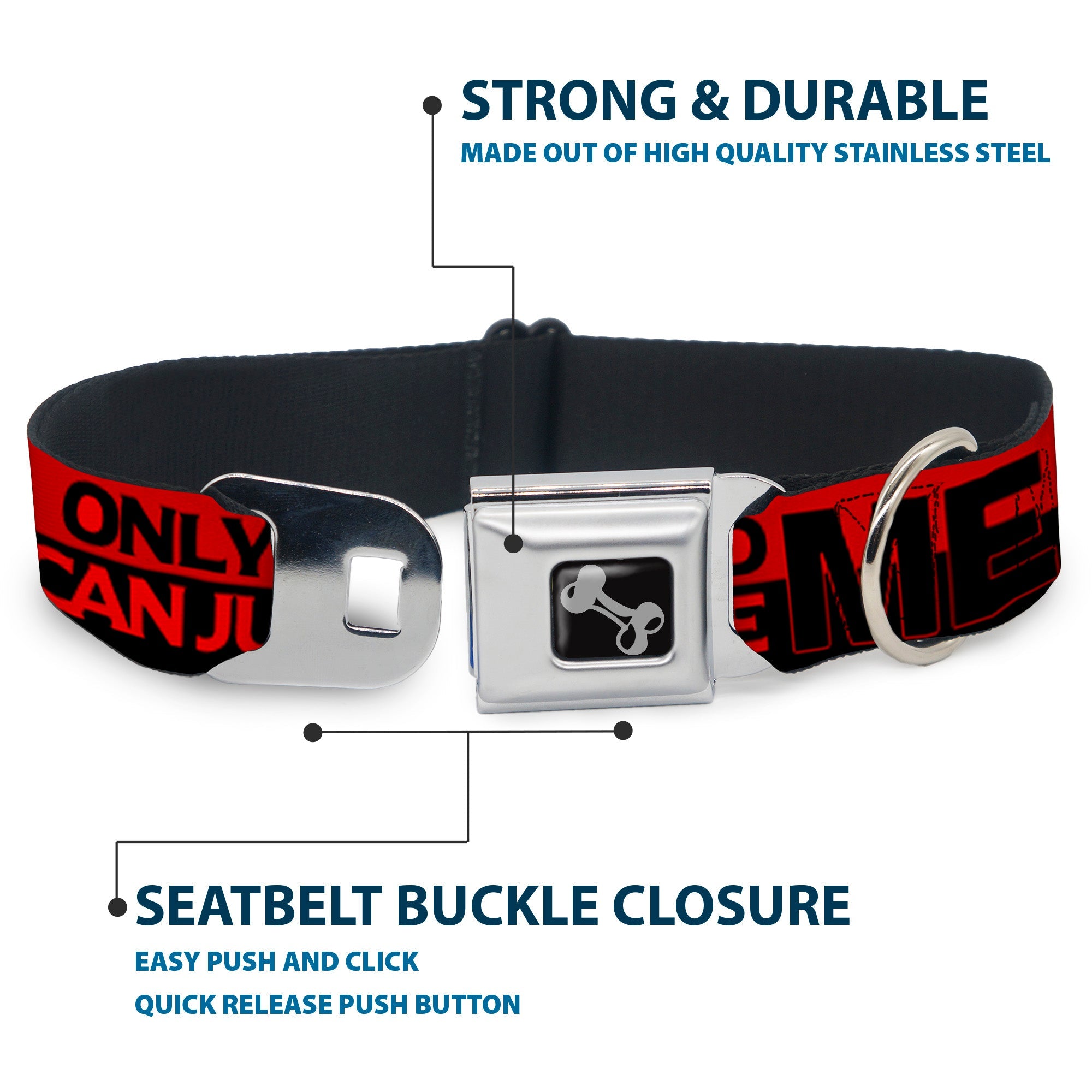 Dog Bone Seatbelt Buckle Collar - ONLY GOD CAN JUDGE ME/Stripe Red/Black/Red