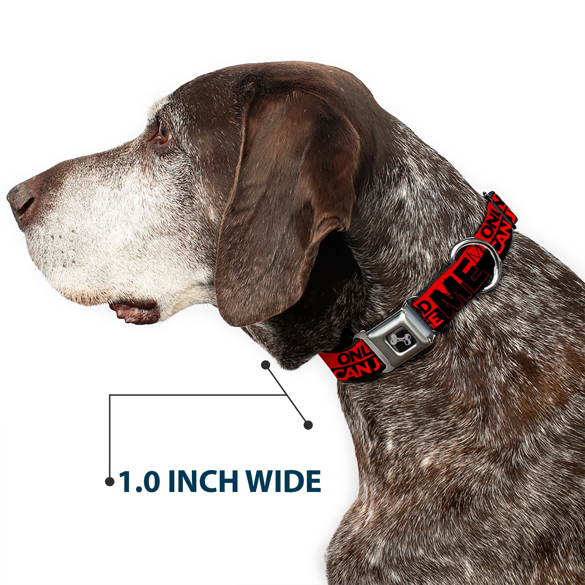 Dog Bone Seatbelt Buckle Collar - ONLY GOD CAN JUDGE ME/Stripe Red/Black/Red
