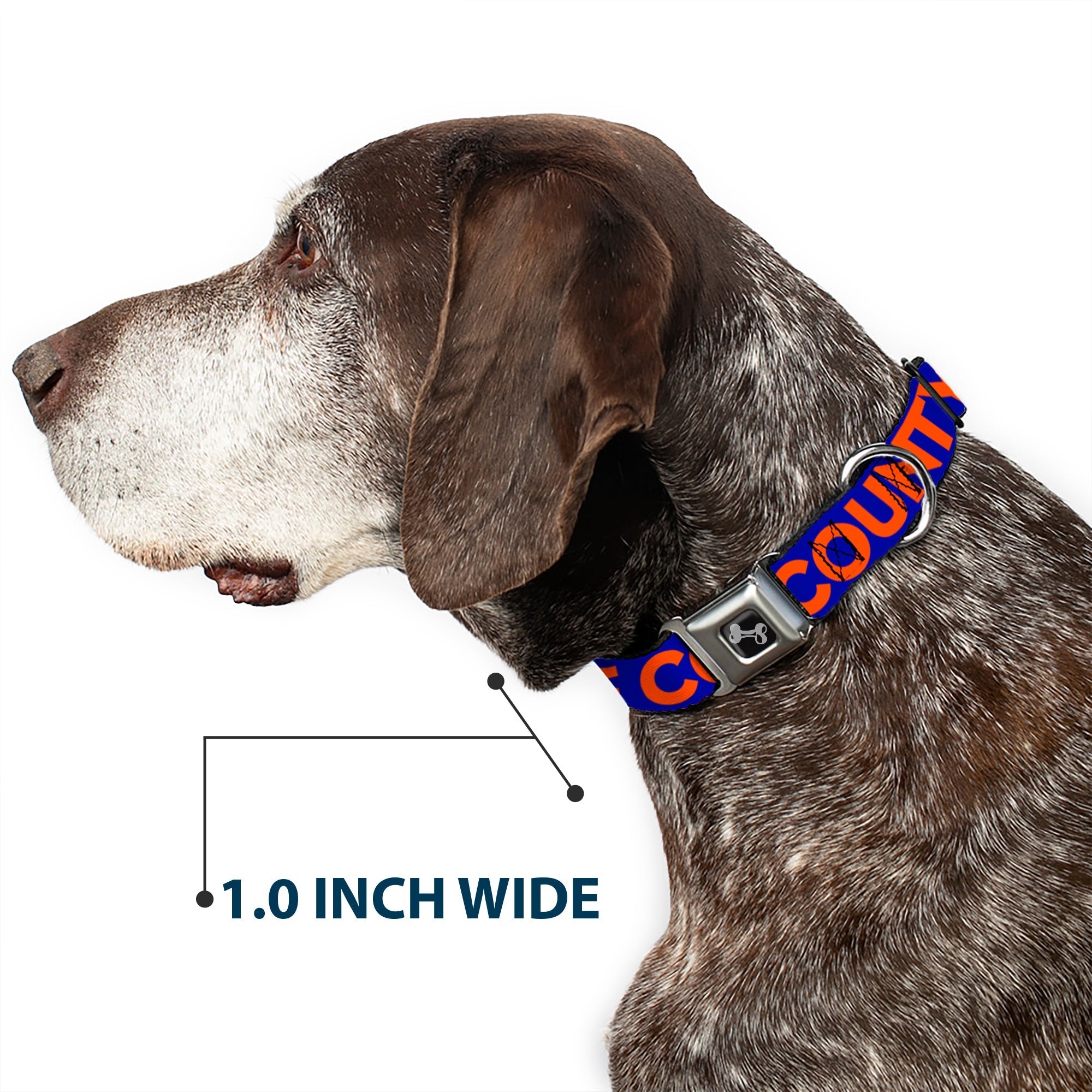 Dog Bone Seatbelt Buckle Collar - ORANGE COUNTY/Wave Icon Blue/Orange