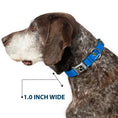 Load image into Gallery viewer, Dog Bone Black/Silver Seatbelt Buckle Collar - Oklahoma State Flag Sky Blue/White
