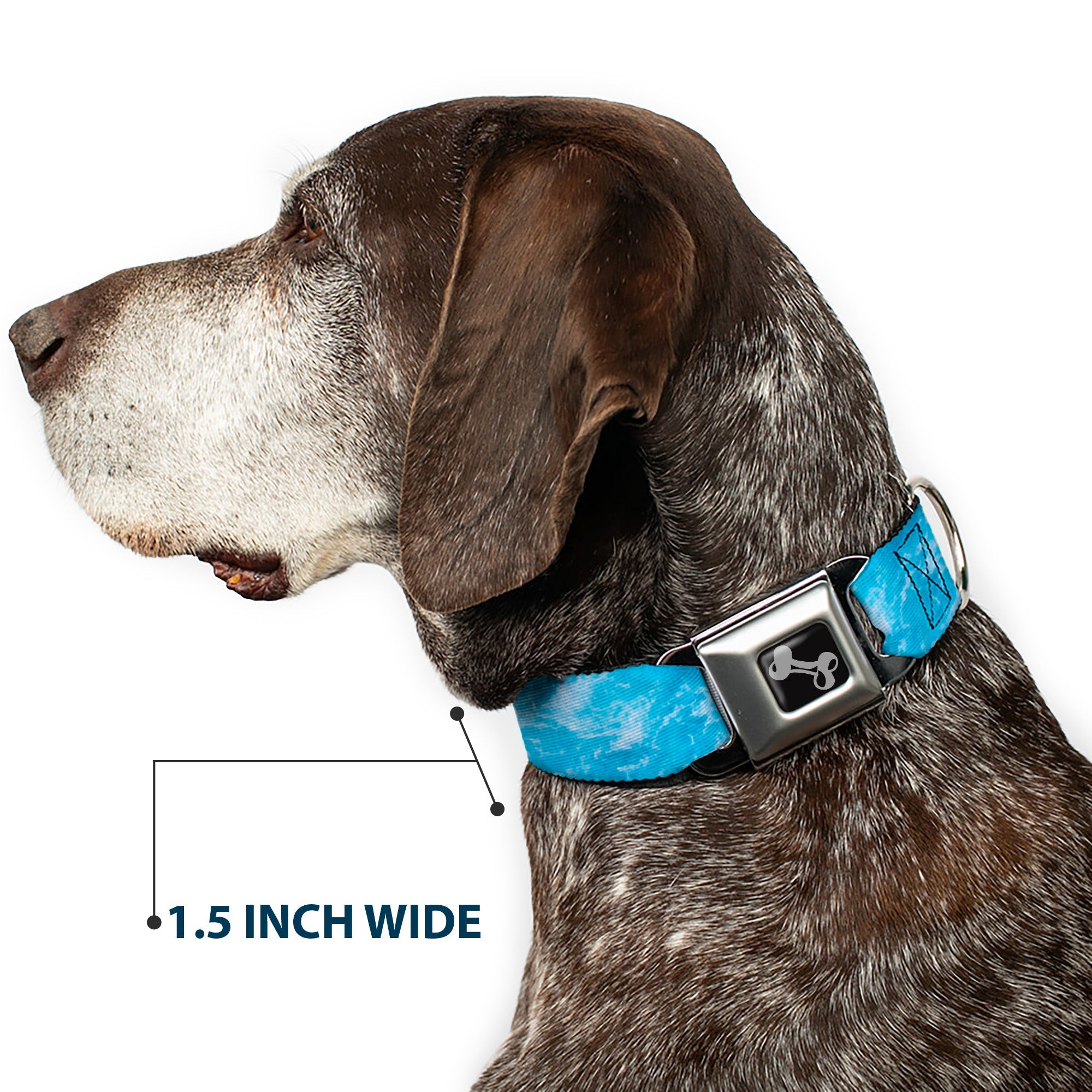 Dog Bone Black/Silver Seatbelt Buckle Collar - Ocean Vivid White Wash