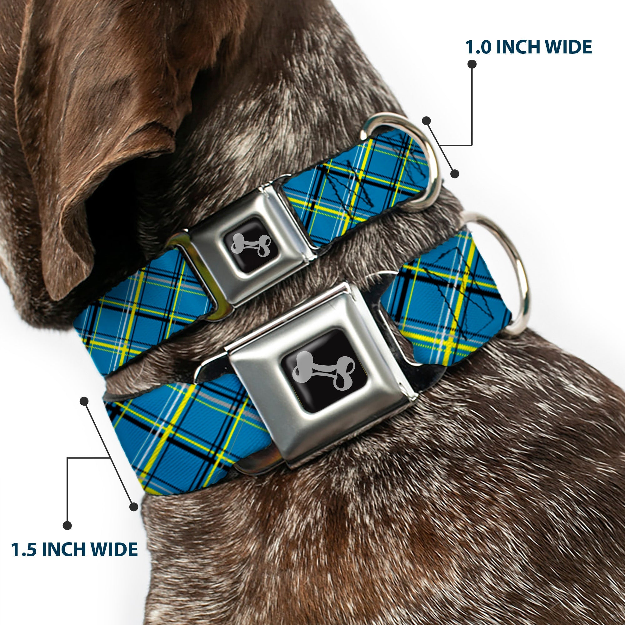 Dog Bone Seatbelt Buckle Collar - Plaid Turquoise/Yellow/Black/Gray