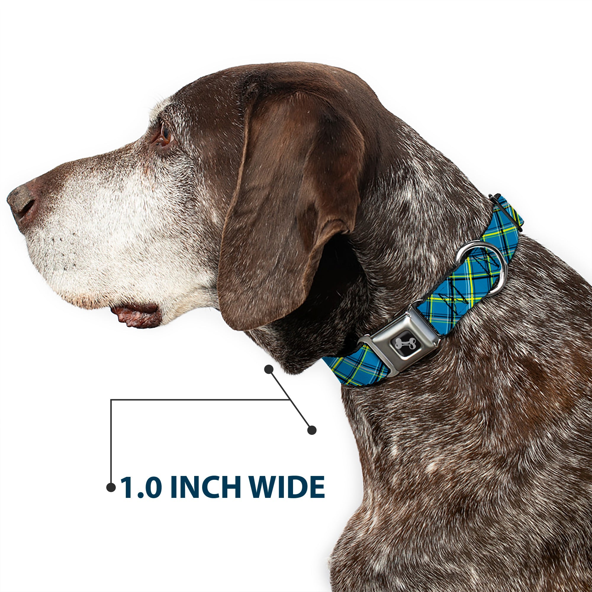 Dog Bone Seatbelt Buckle Collar - Plaid Turquoise/Yellow/Black/Gray