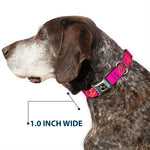 Dog Bone Seatbelt Buckle Collar - Peace Hearts Repeat Fuchsia/Neon