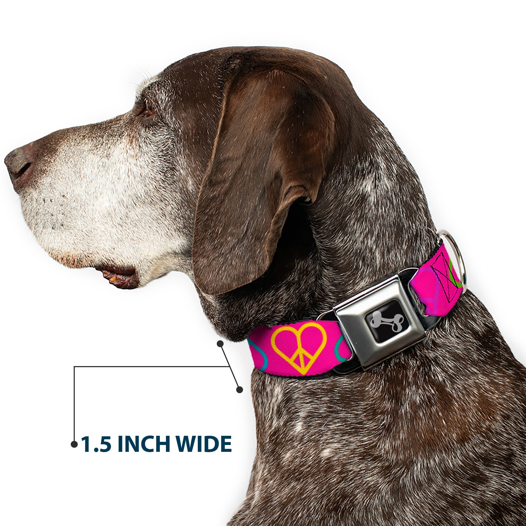 Dog Bone Seatbelt Buckle Collar - Peace Hearts Repeat Fuchsia/Neon