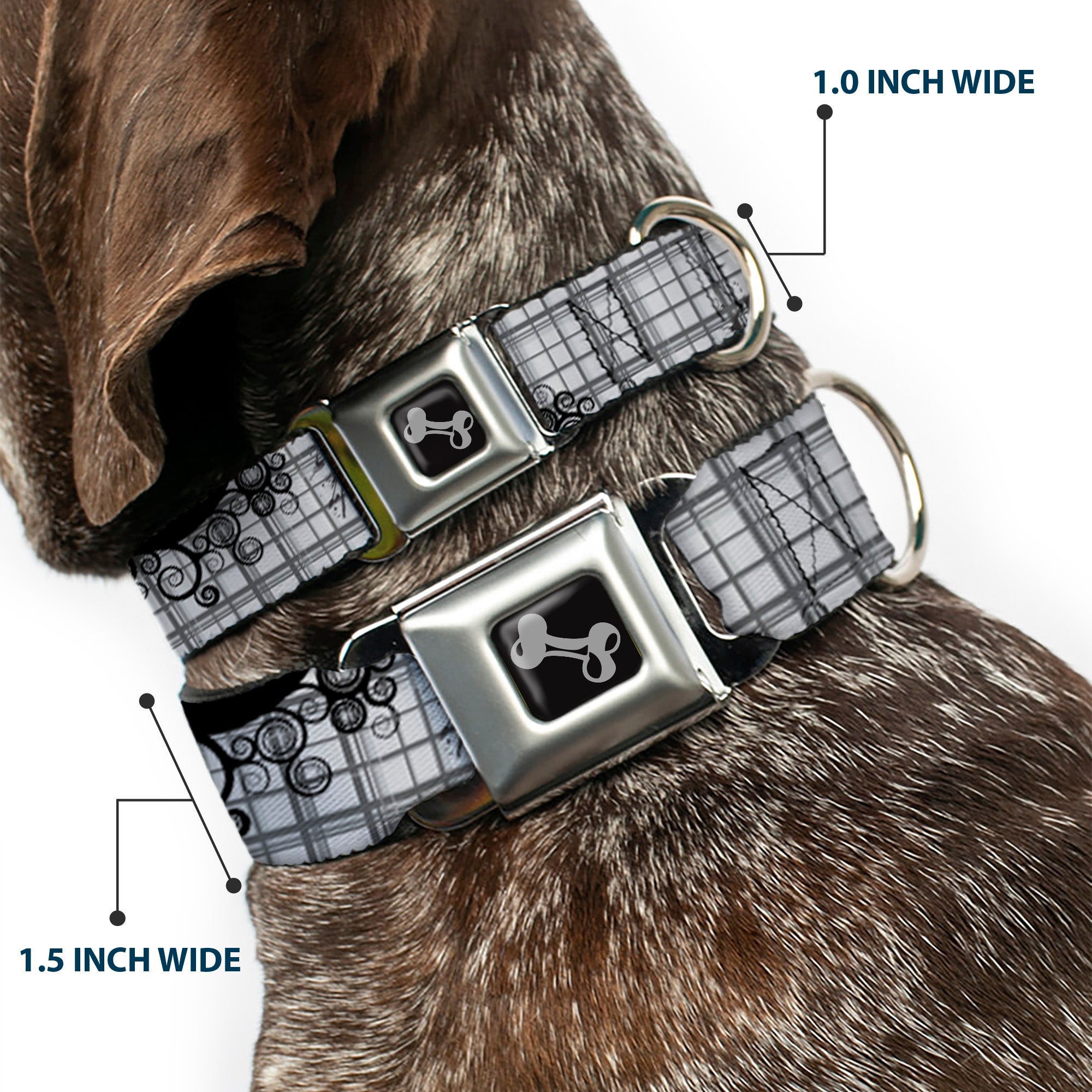 Dog Bone Seatbelt Buckle Collar - Plaid Curls Gray