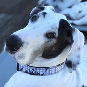 Dog Bone Seatbelt Buckle Collar - Plaid Curls Gray