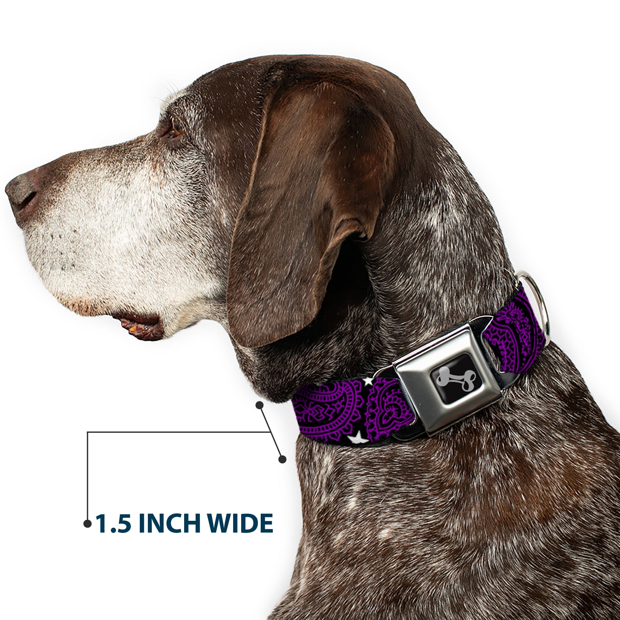 Dog Bone Seatbelt Buckle Collar - Paisley Stars Black/Purple/White