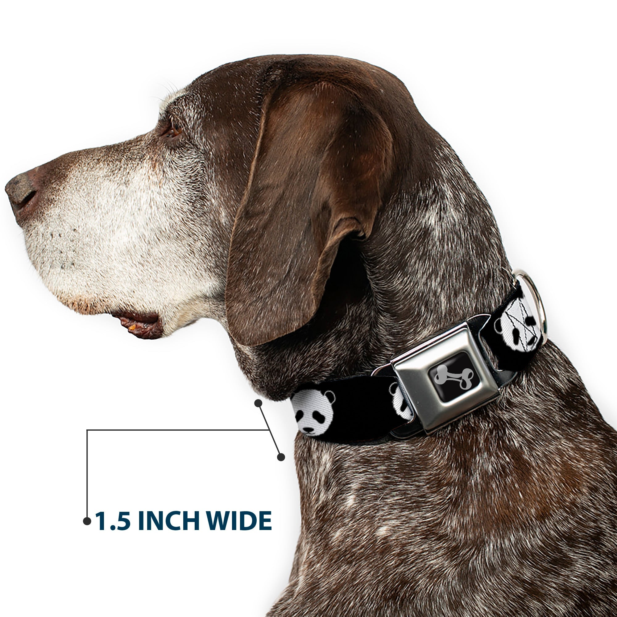 Dog Bone Seatbelt Buckle Collar - Panda Bear Repeat