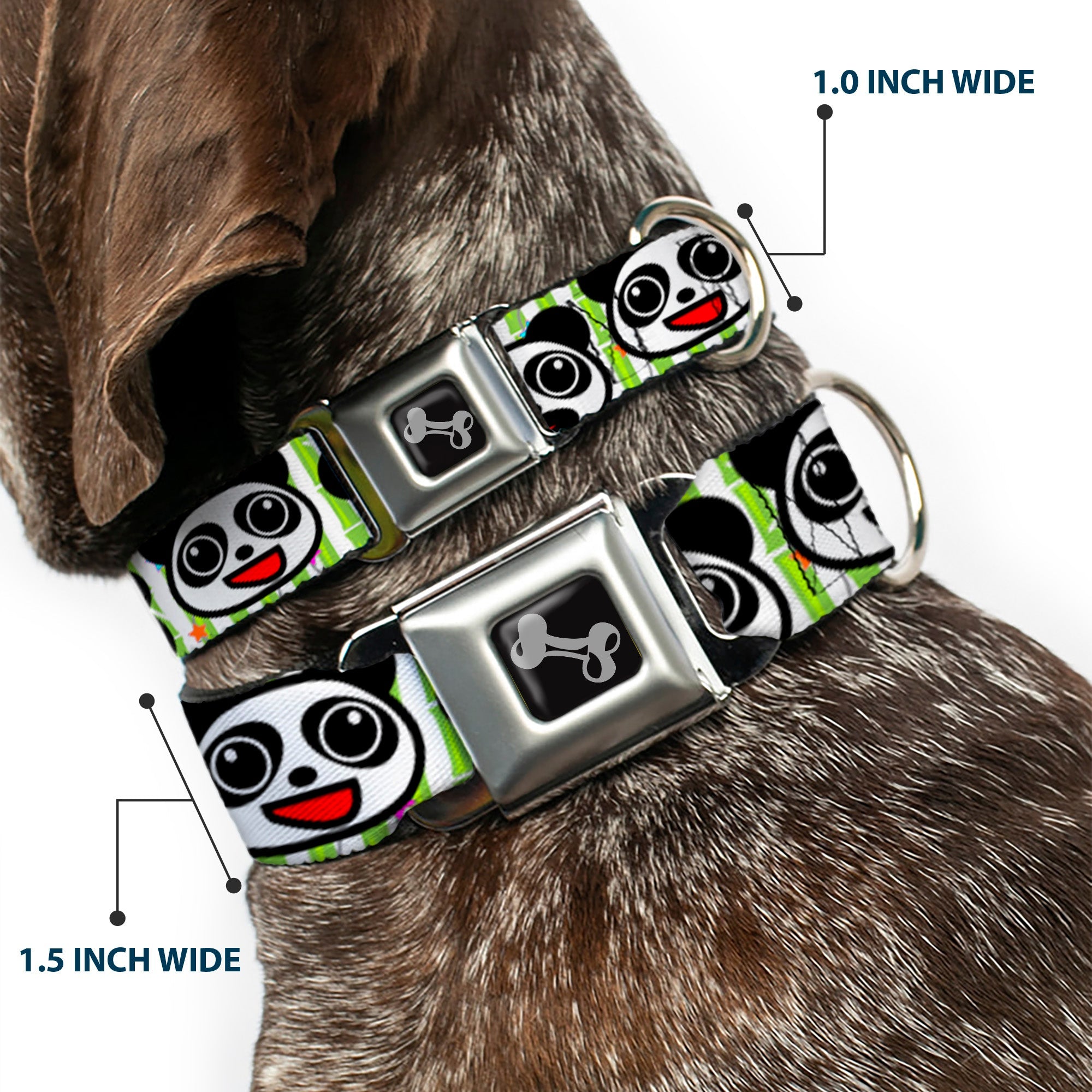 Dog Bone Seatbelt Buckle Collar - Panda Bear Cartoon Bamboo