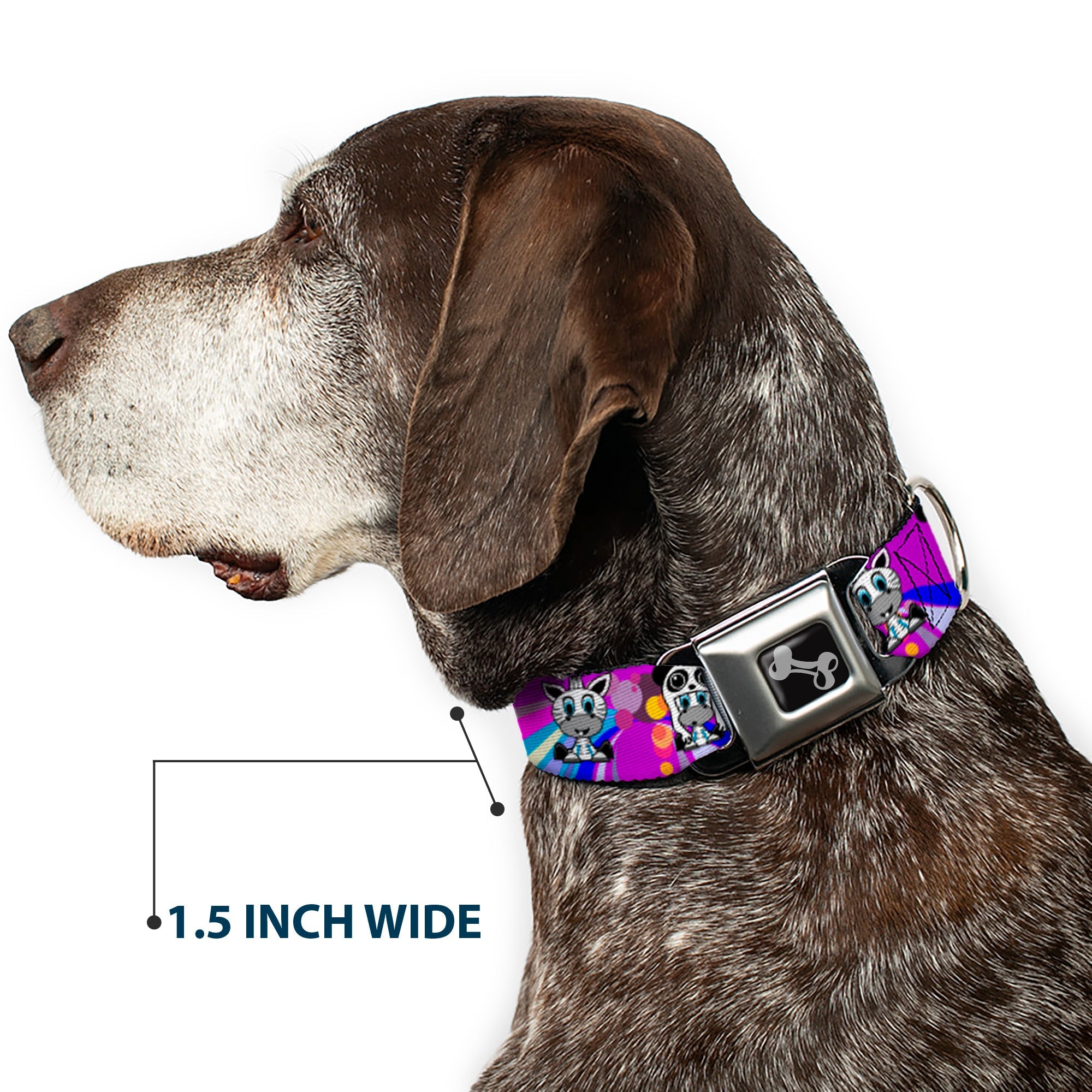 Dog Bone Seatbelt Buckle Collar - Panda Hat Animals w/Bright Color Burst