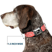 Dog Bone Seatbelt Buckle Collar - Peppermint Candies
