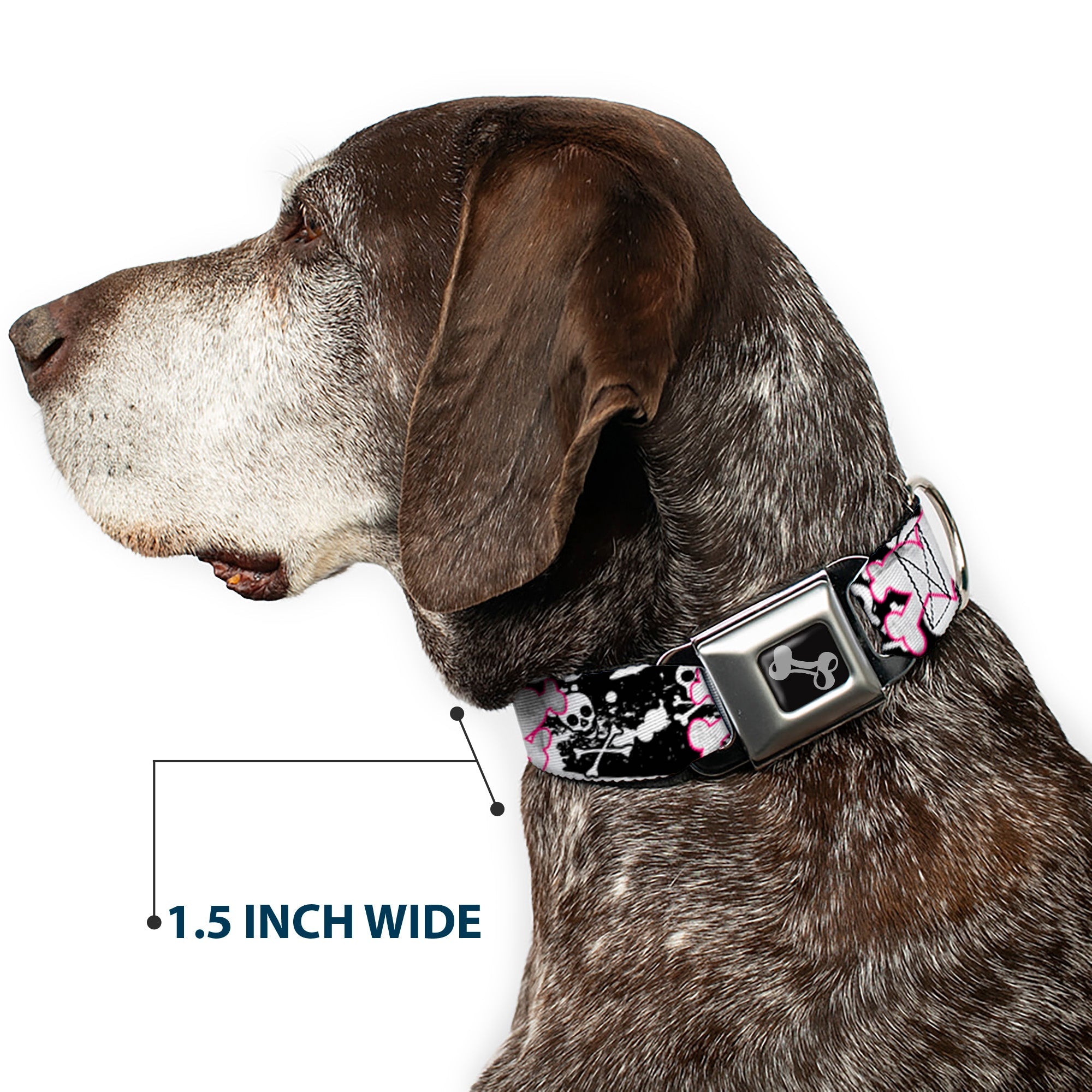 Dog Bone Black/Silver Seatbelt Buckle Collar - Punk Heart & Cross Bones w/Skulls & Splatter Black/White