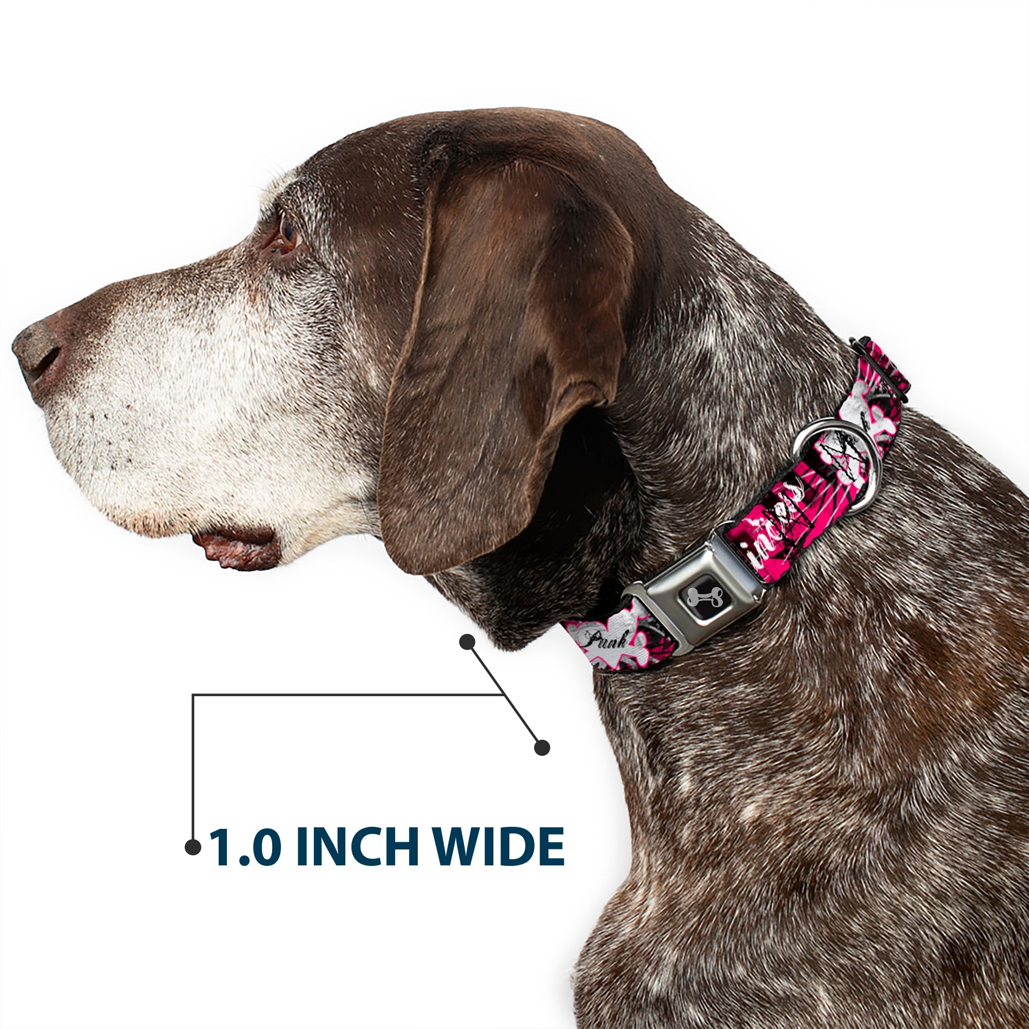 Dog Bone Seatbelt Buckle Collar - Punk Princess w/Piano Keys