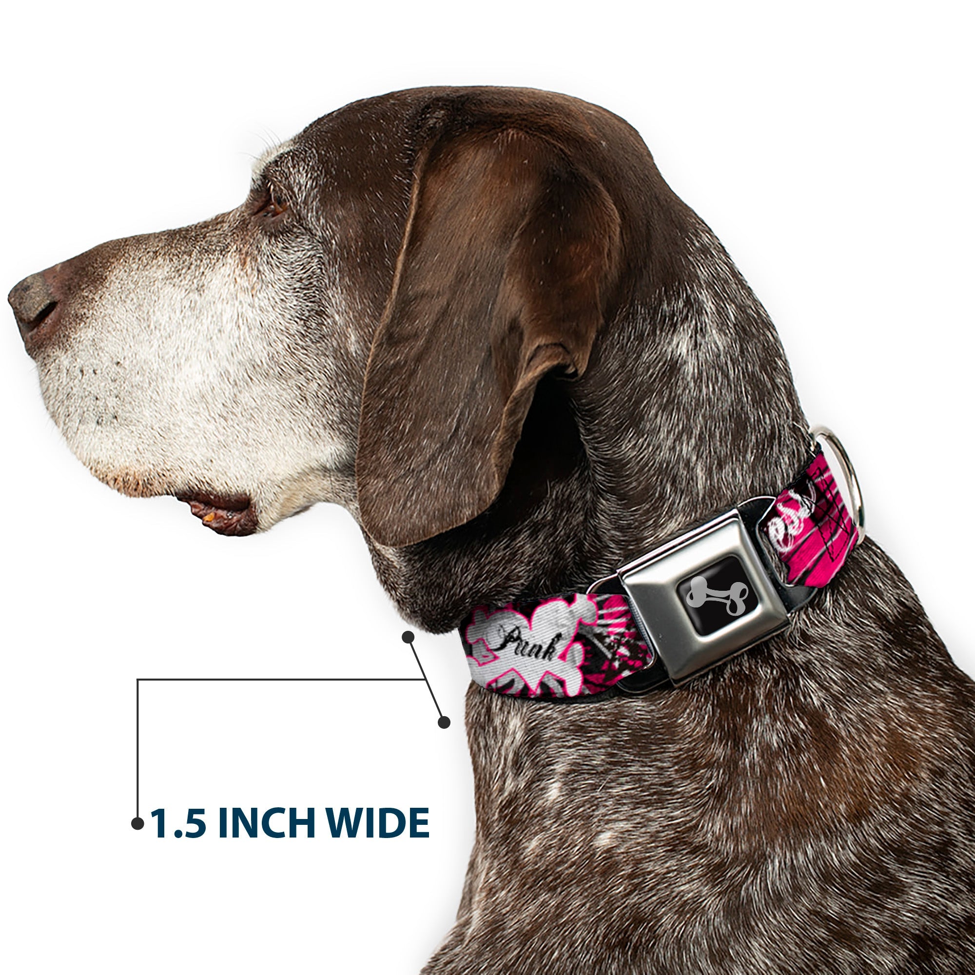Dog Bone Seatbelt Buckle Collar - Punk Princess w/Piano Keys