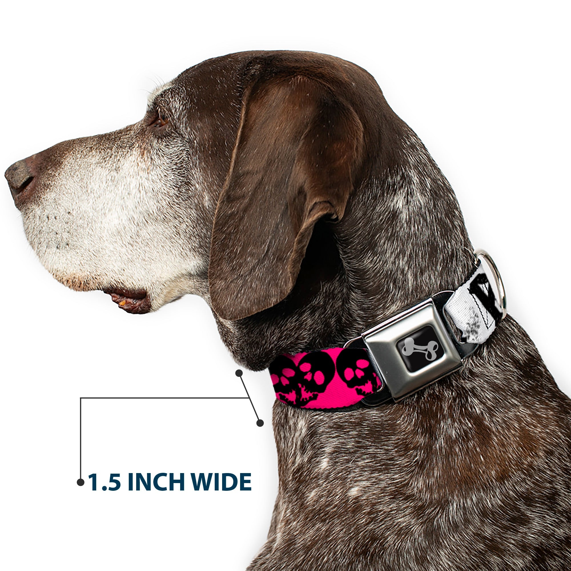 Dog Bone Seatbelt Buckle Collar - Punk Princess w/Zippers & Skulls