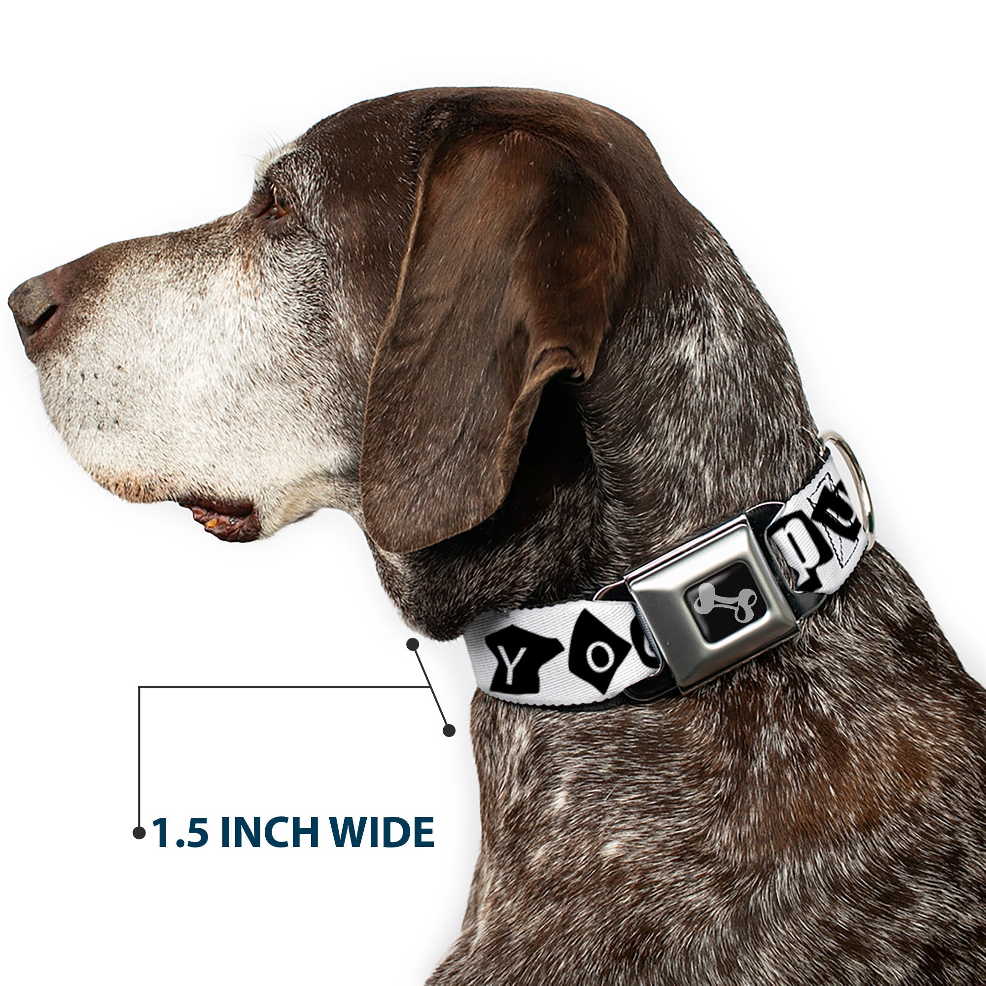 Dog Bone Seatbelt Buckle Collar - Punk You White/Black