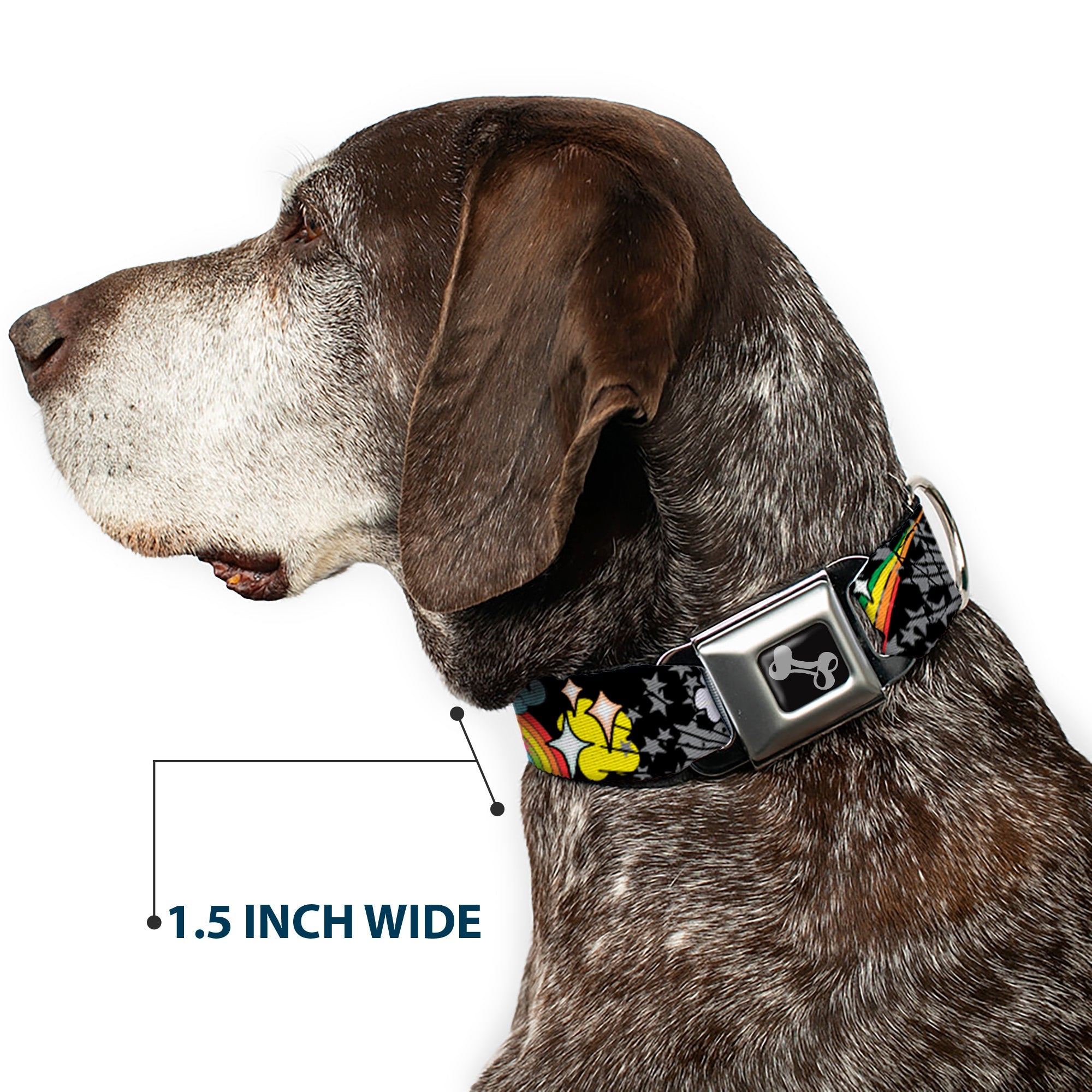 Dog Bone Seatbelt Buckle Collar - Rainbow Cloud Stars Black