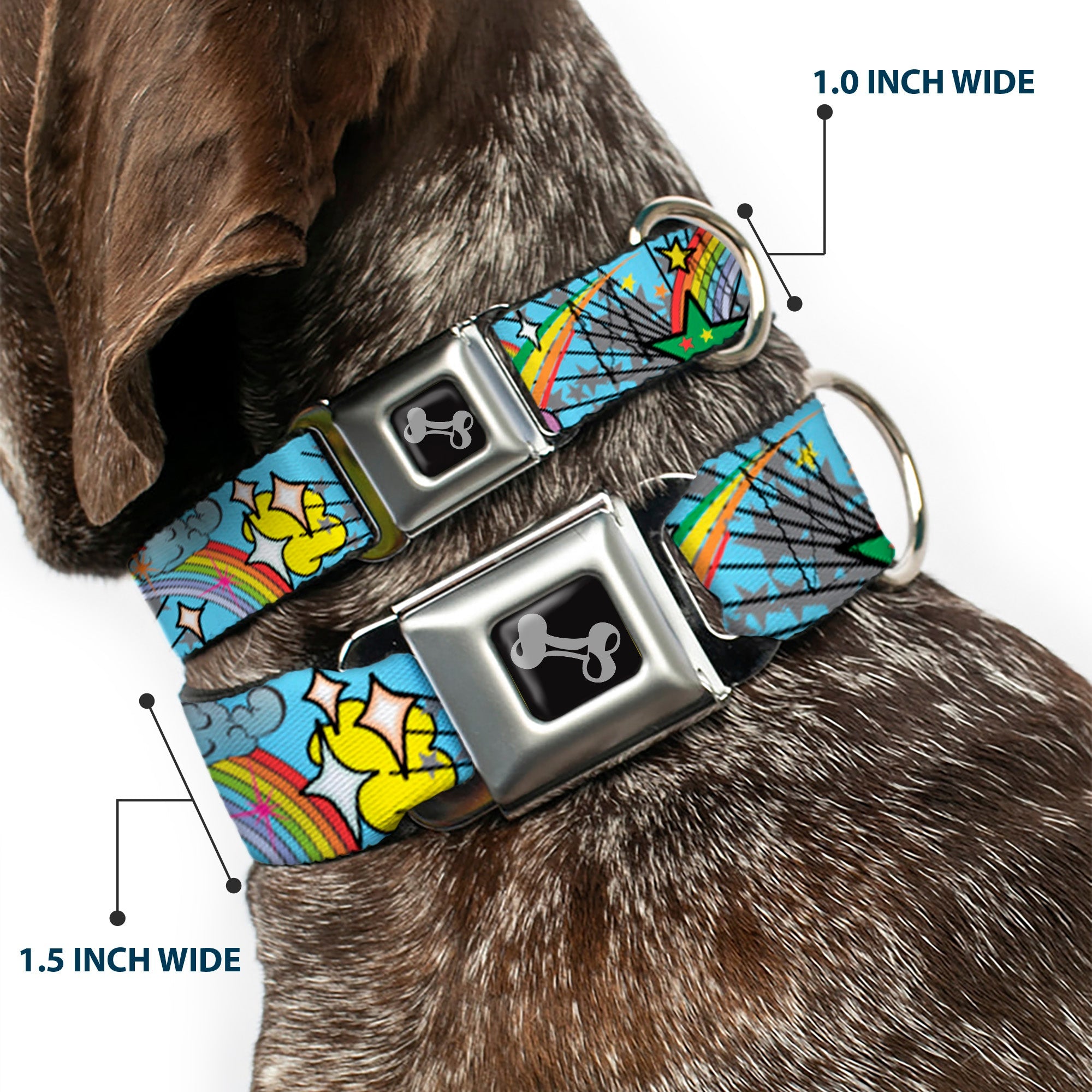Dog Bone Seatbelt Buckle Collar - Rainbow Cloud Stars Baby Blue