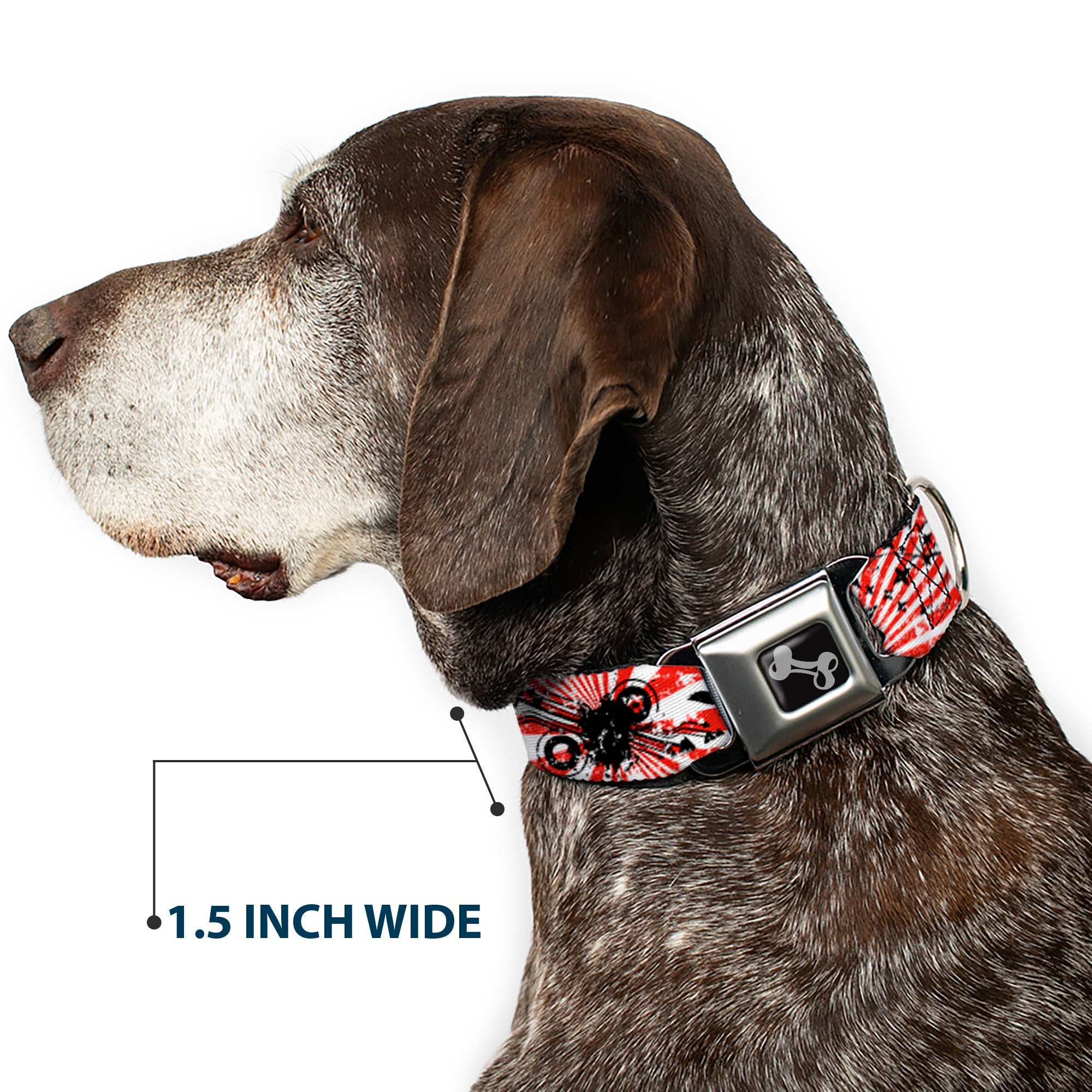 Dog Bone Seatbelt Buckle Collar - Rising Sun White/Red