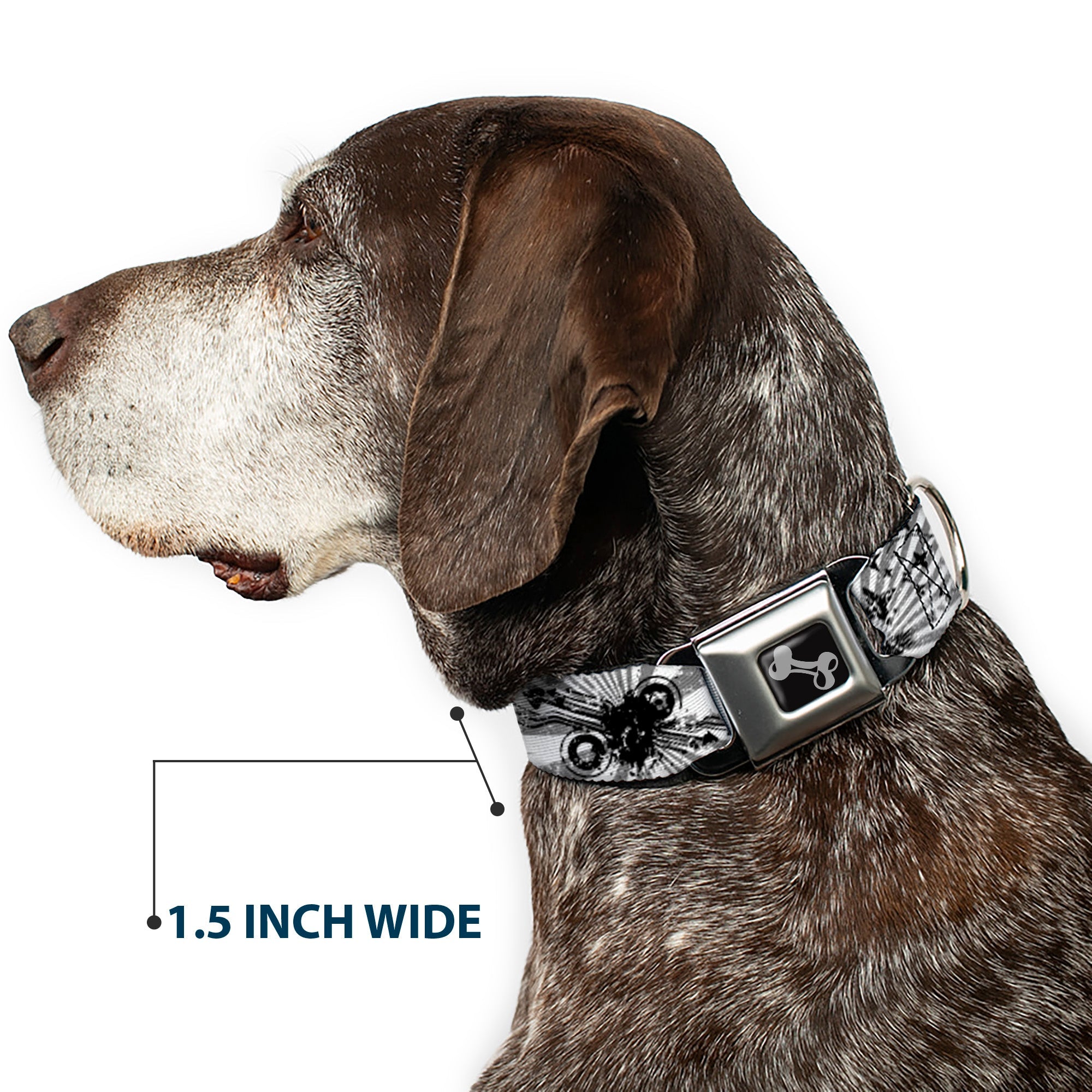 Dog Bone Seatbelt Buckle Collar - Rising Sun White/Gray