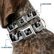 Dog Bone Seatbelt Buckle Collar - Rabid Bunny